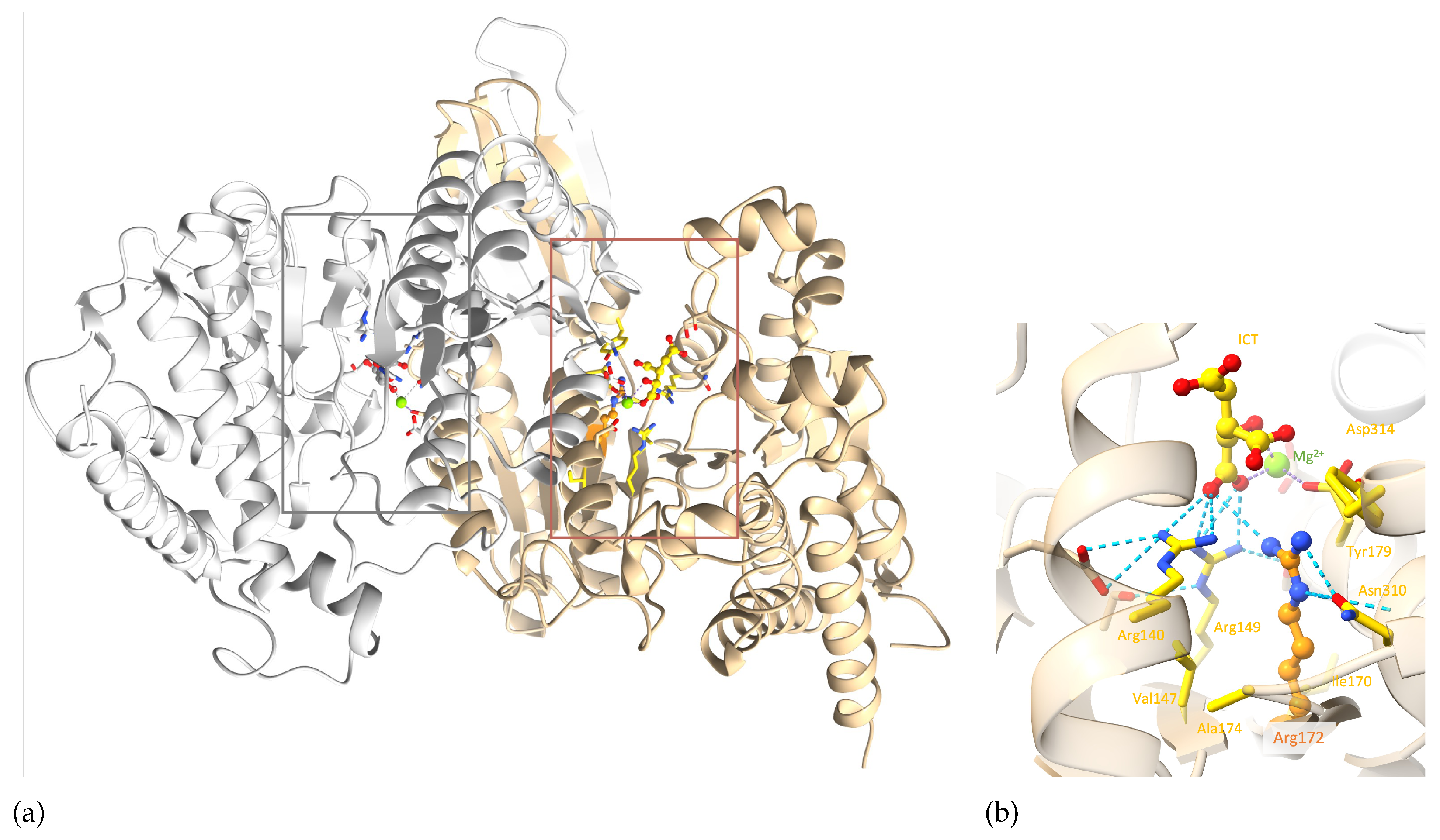 Preprints 105947 g006