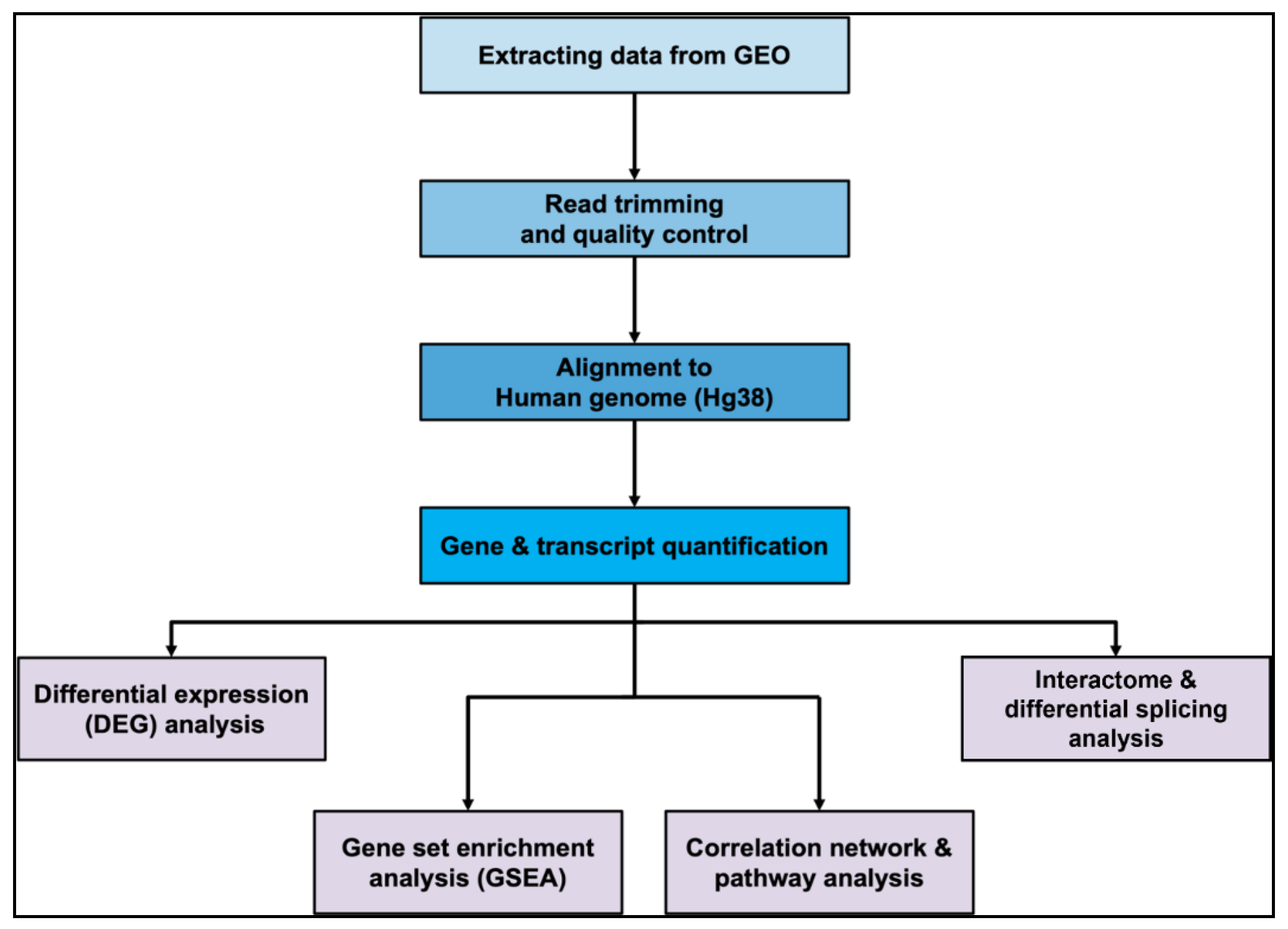 Preprints 122138 g001