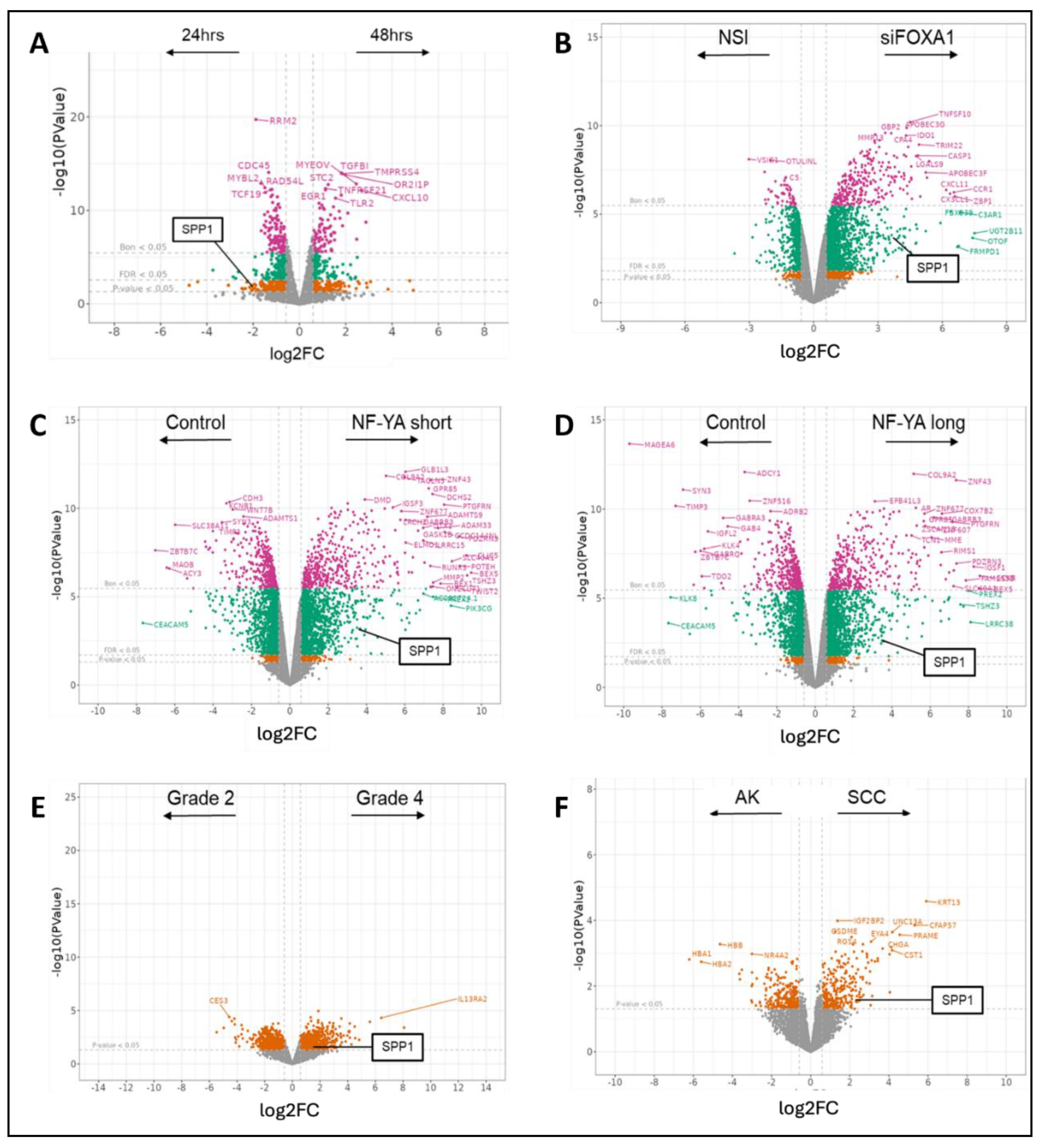 Preprints 122138 g002