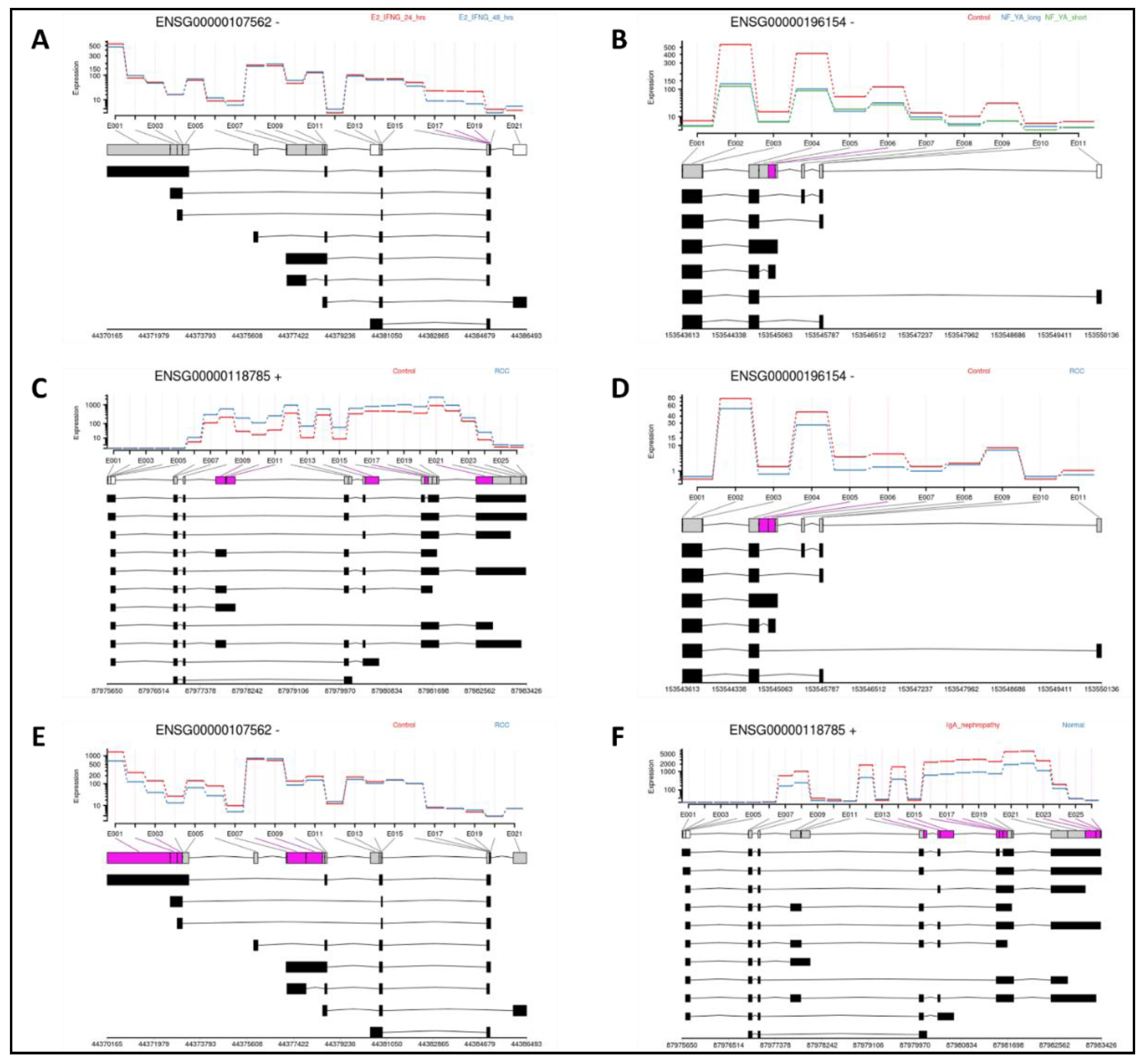 Preprints 122138 g005