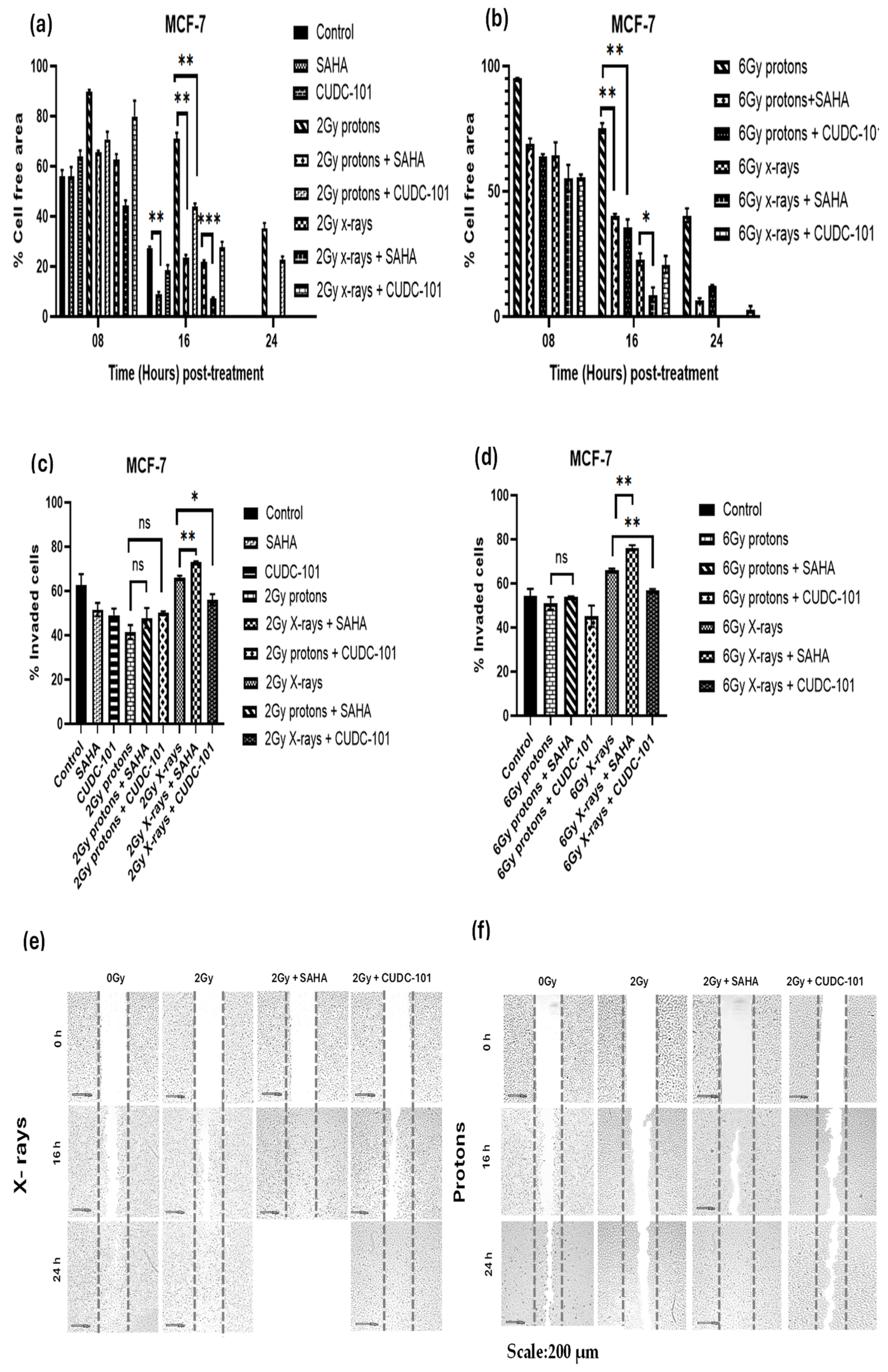 Preprints 138748 g002