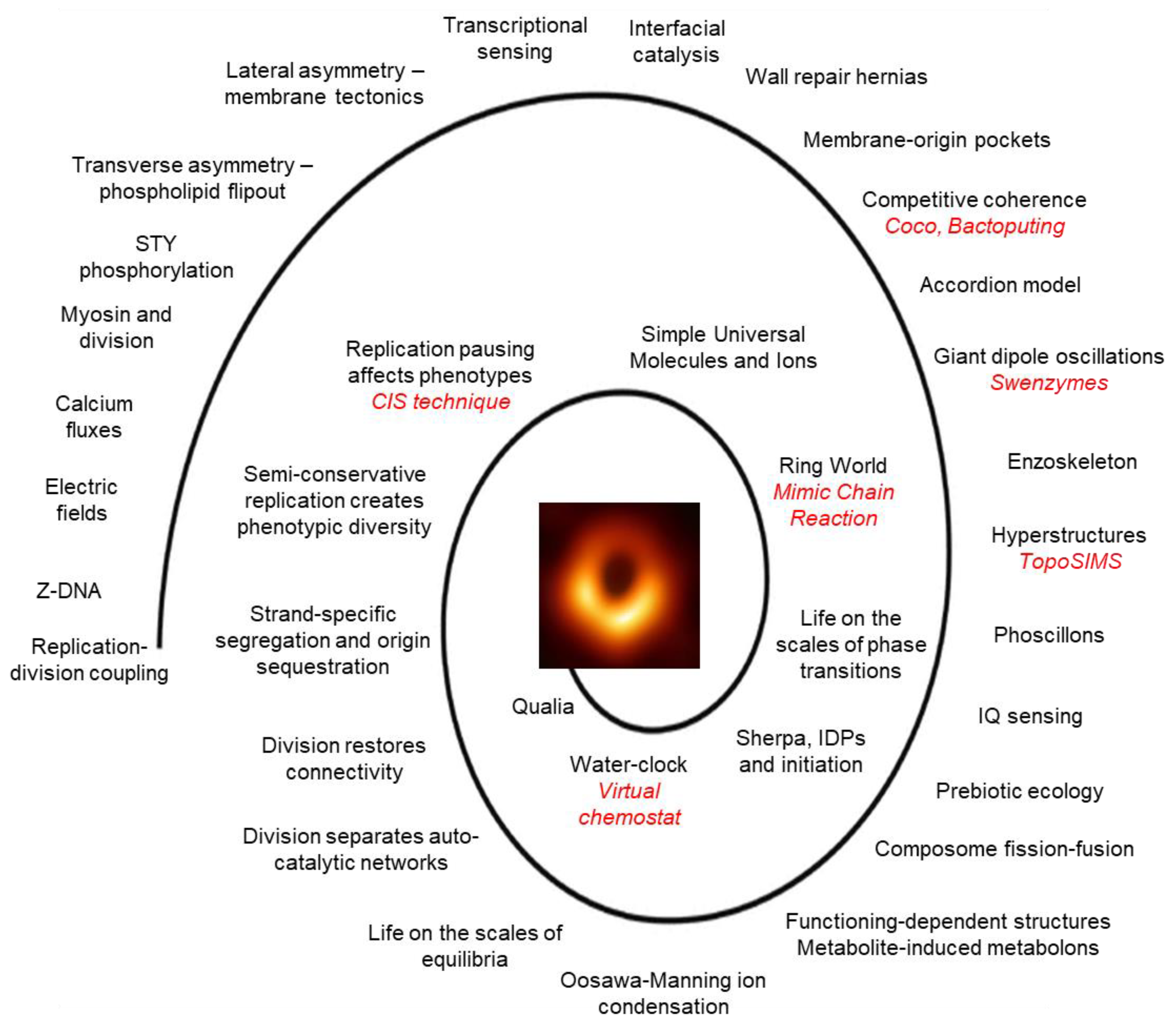 Preprints 113919 g001