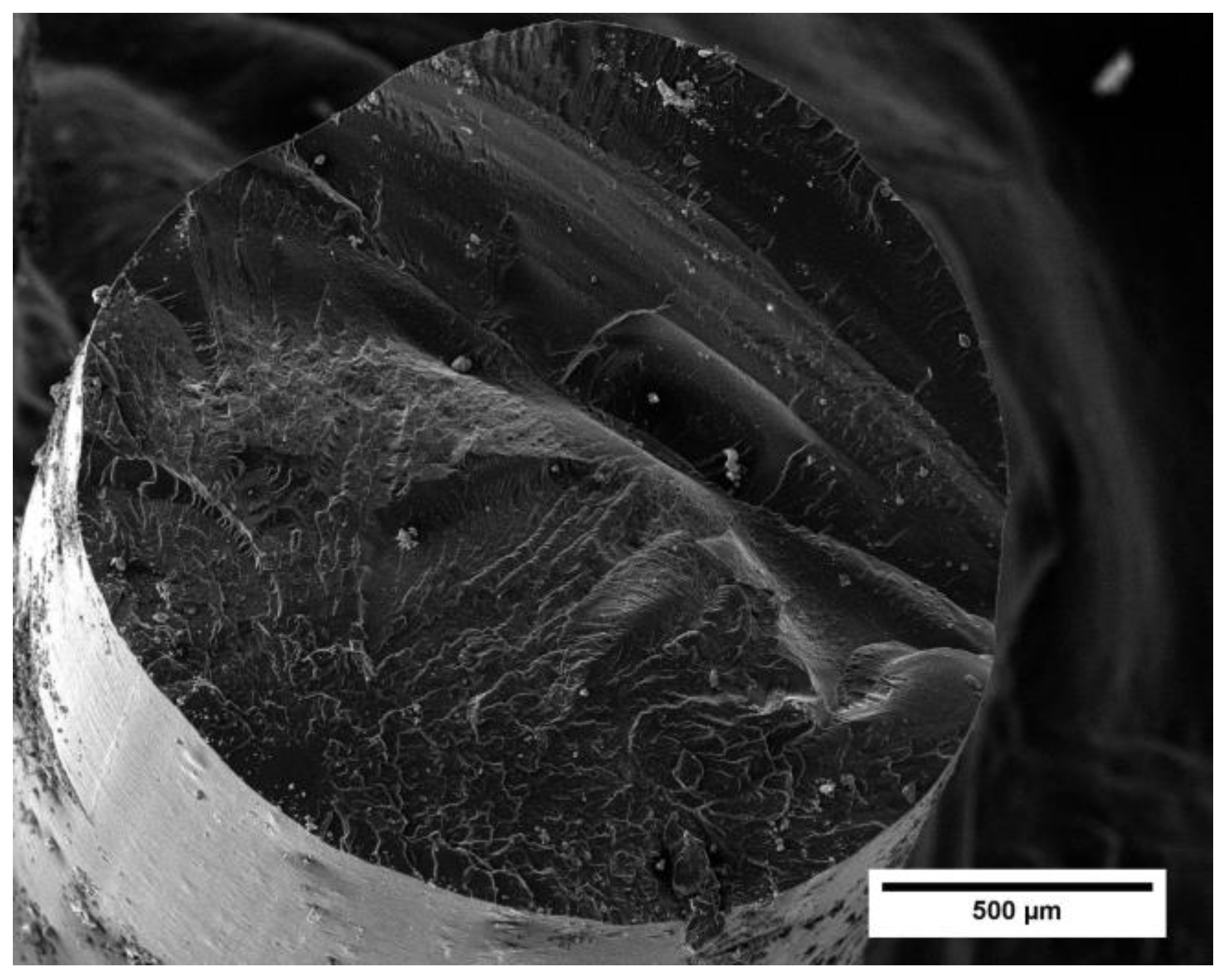 Preprints 79114 g009