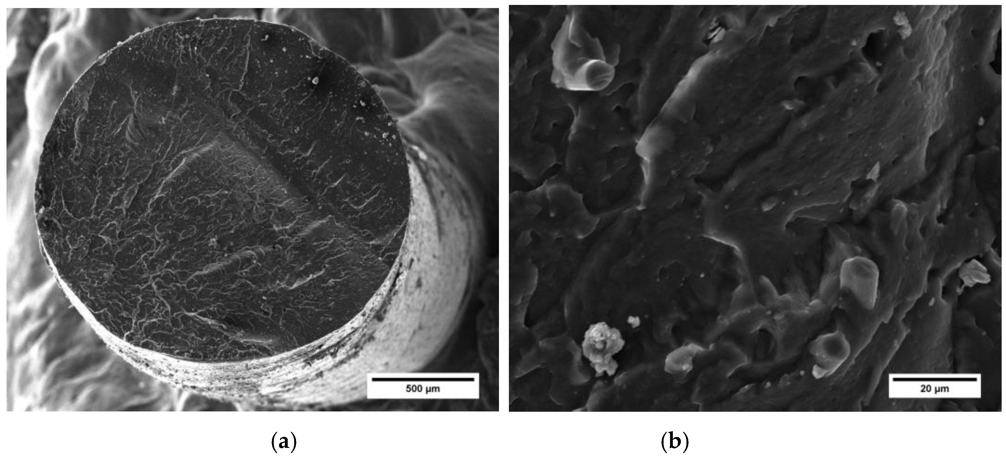 Preprints 79114 g011