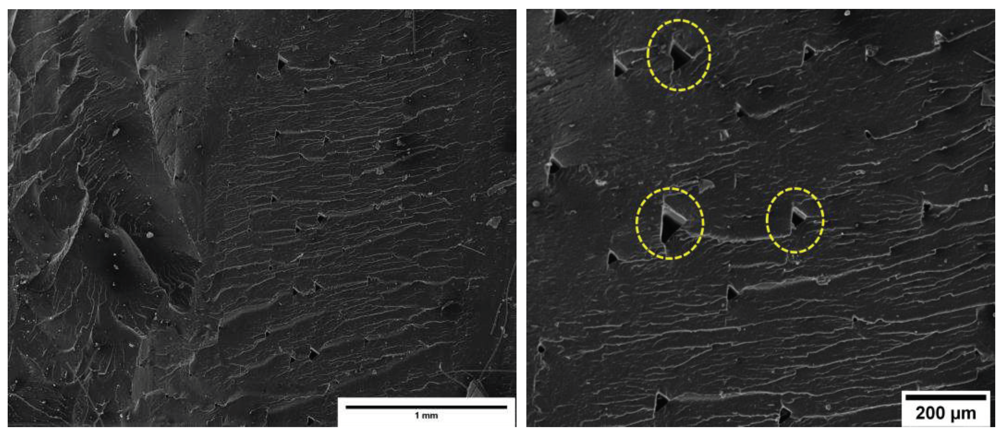 Preprints 79114 g018