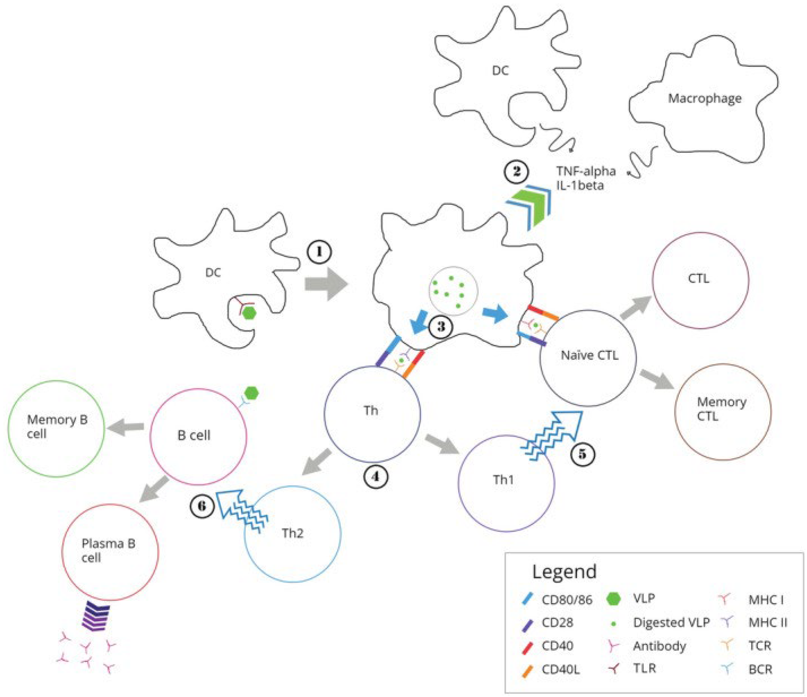 Preprints 109559 g003