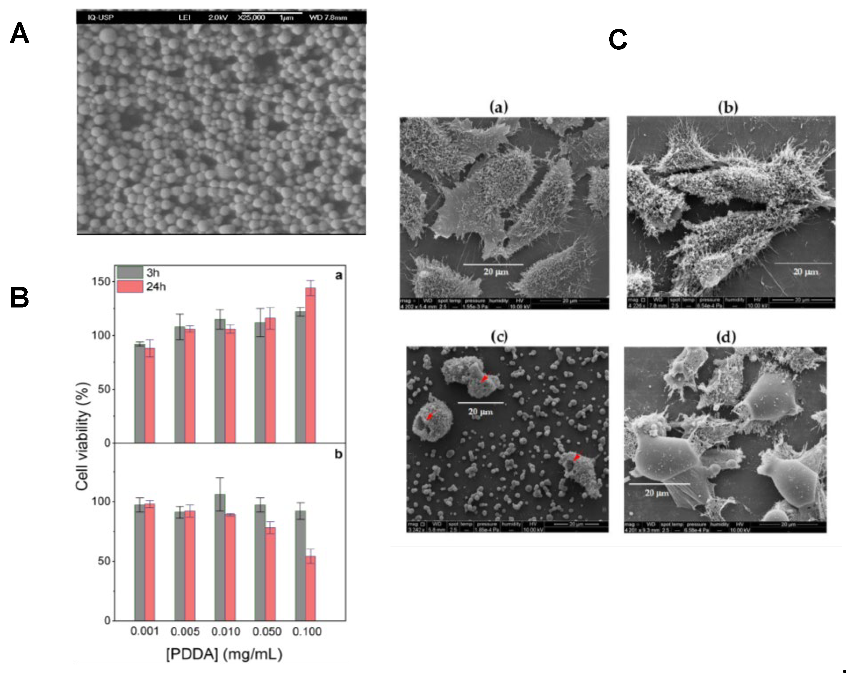 Preprints 109559 g006