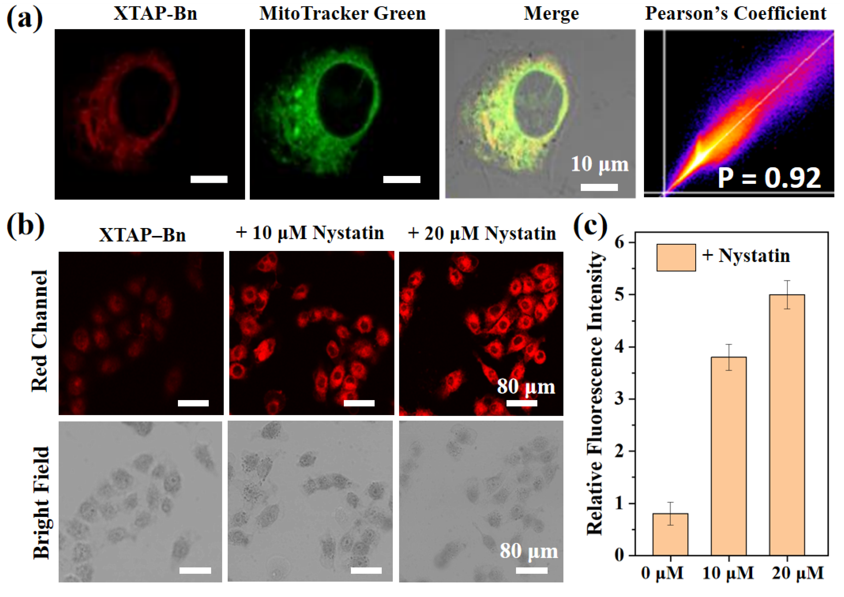 Preprints 108566 g005