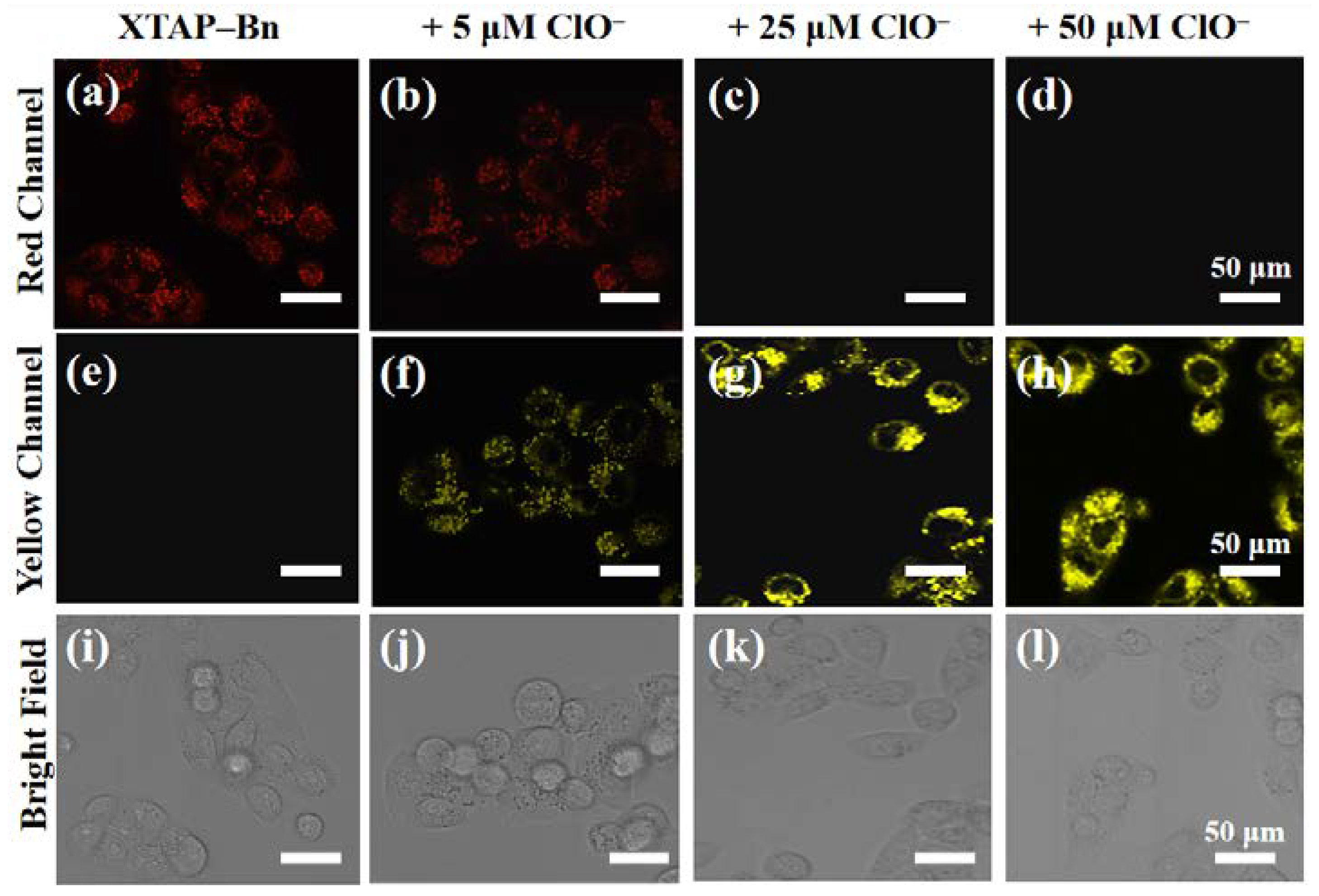 Preprints 108566 g006