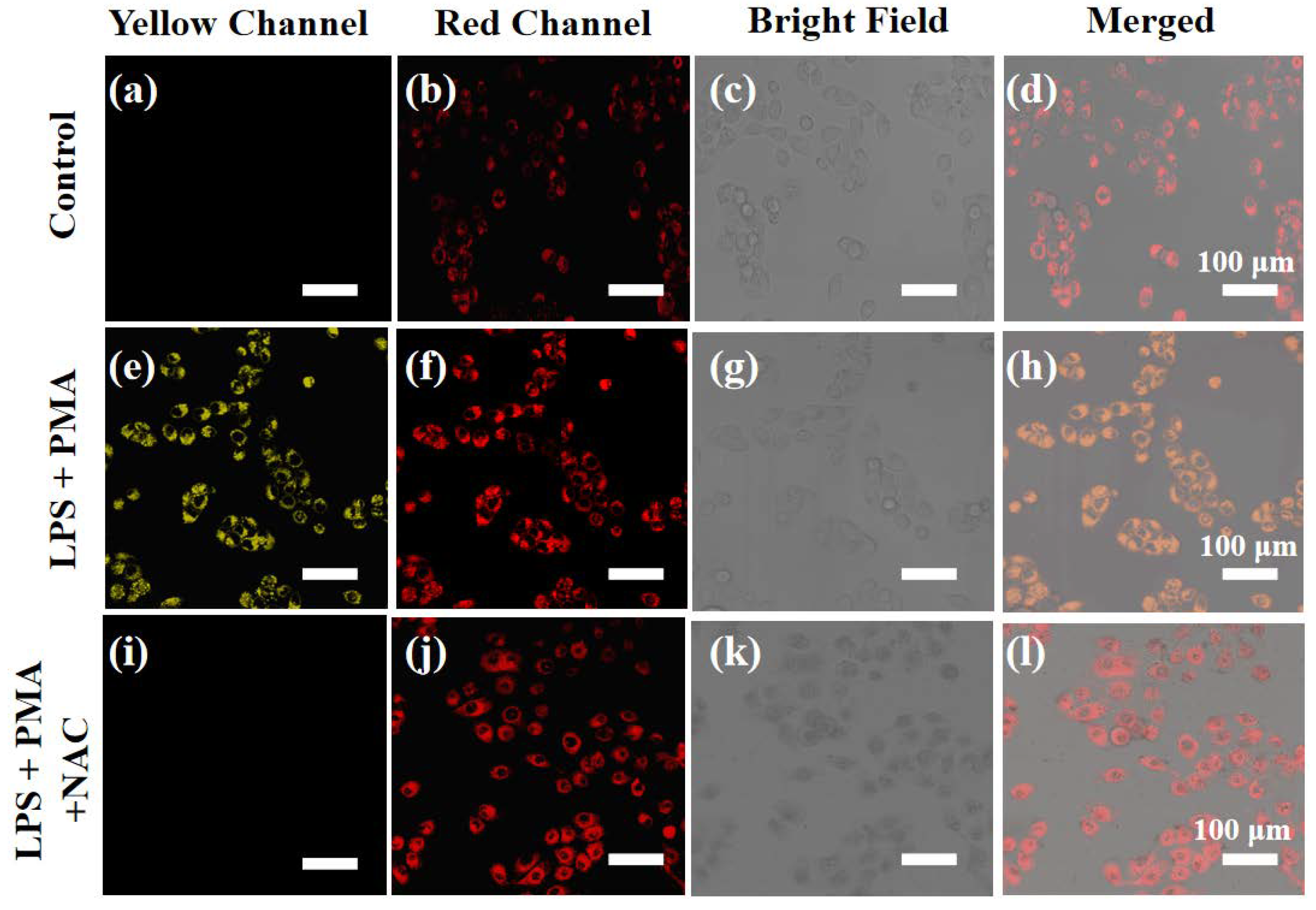 Preprints 108566 g007