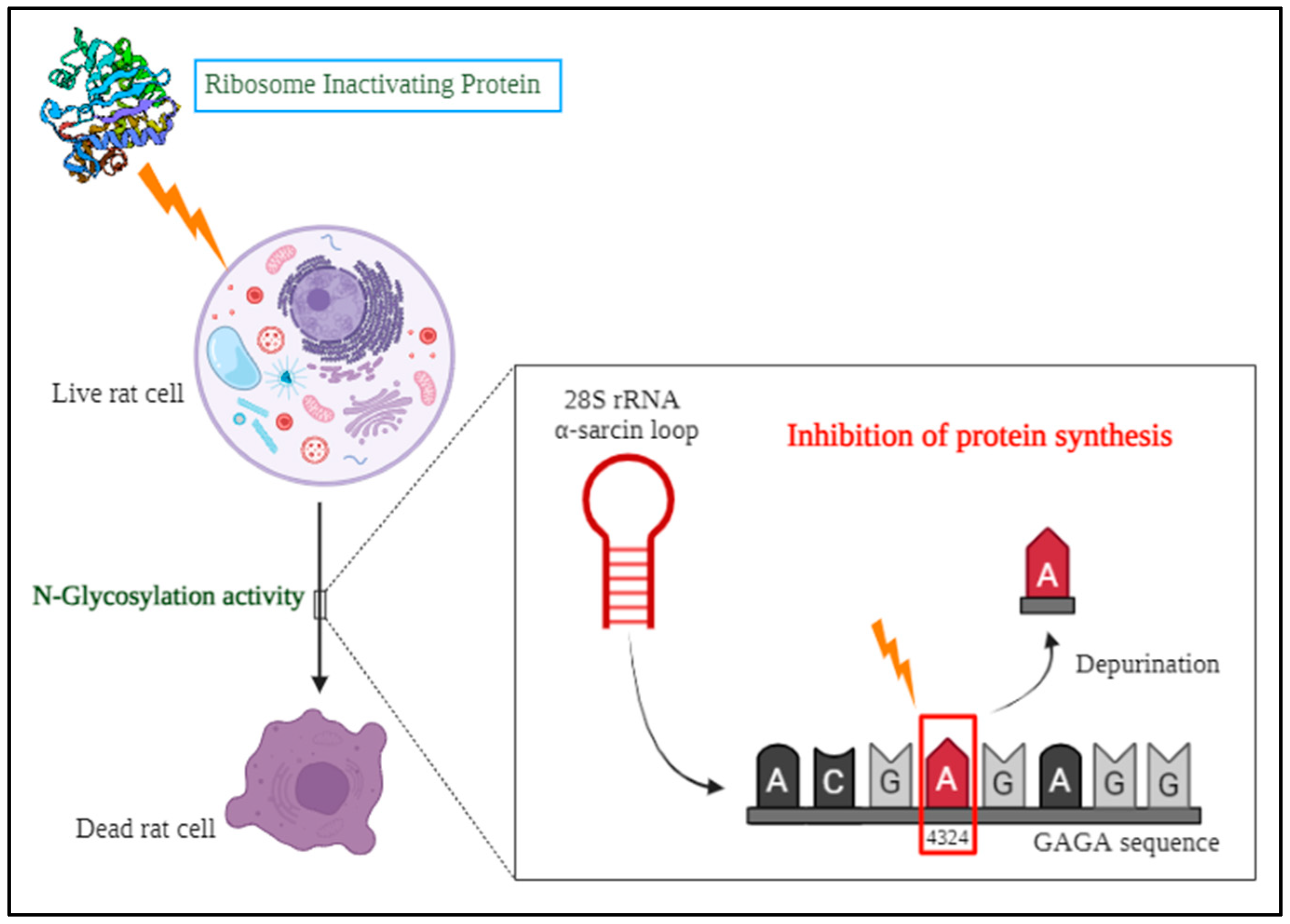 Preprints 119652 g002