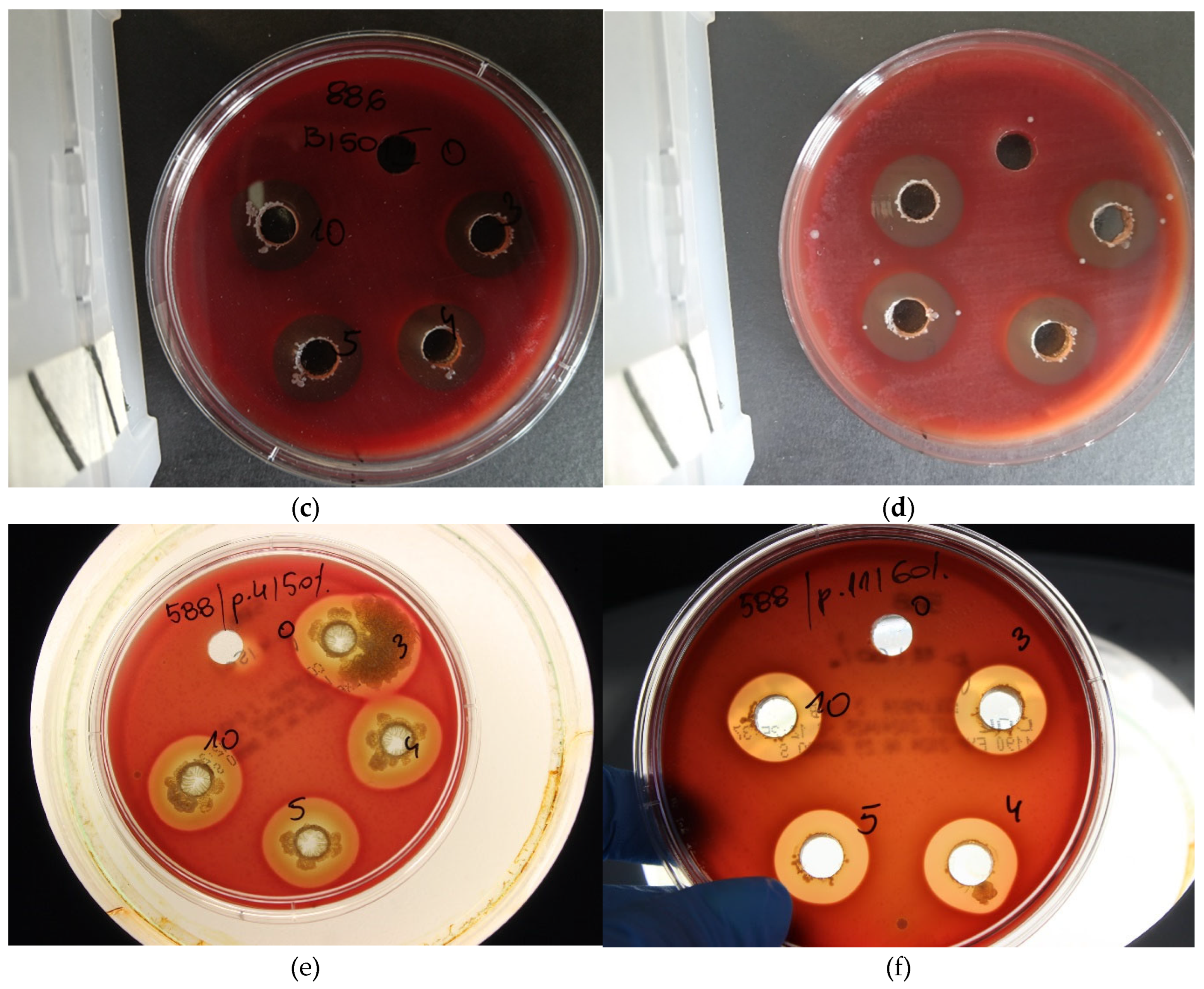 Preprints 119735 g003b