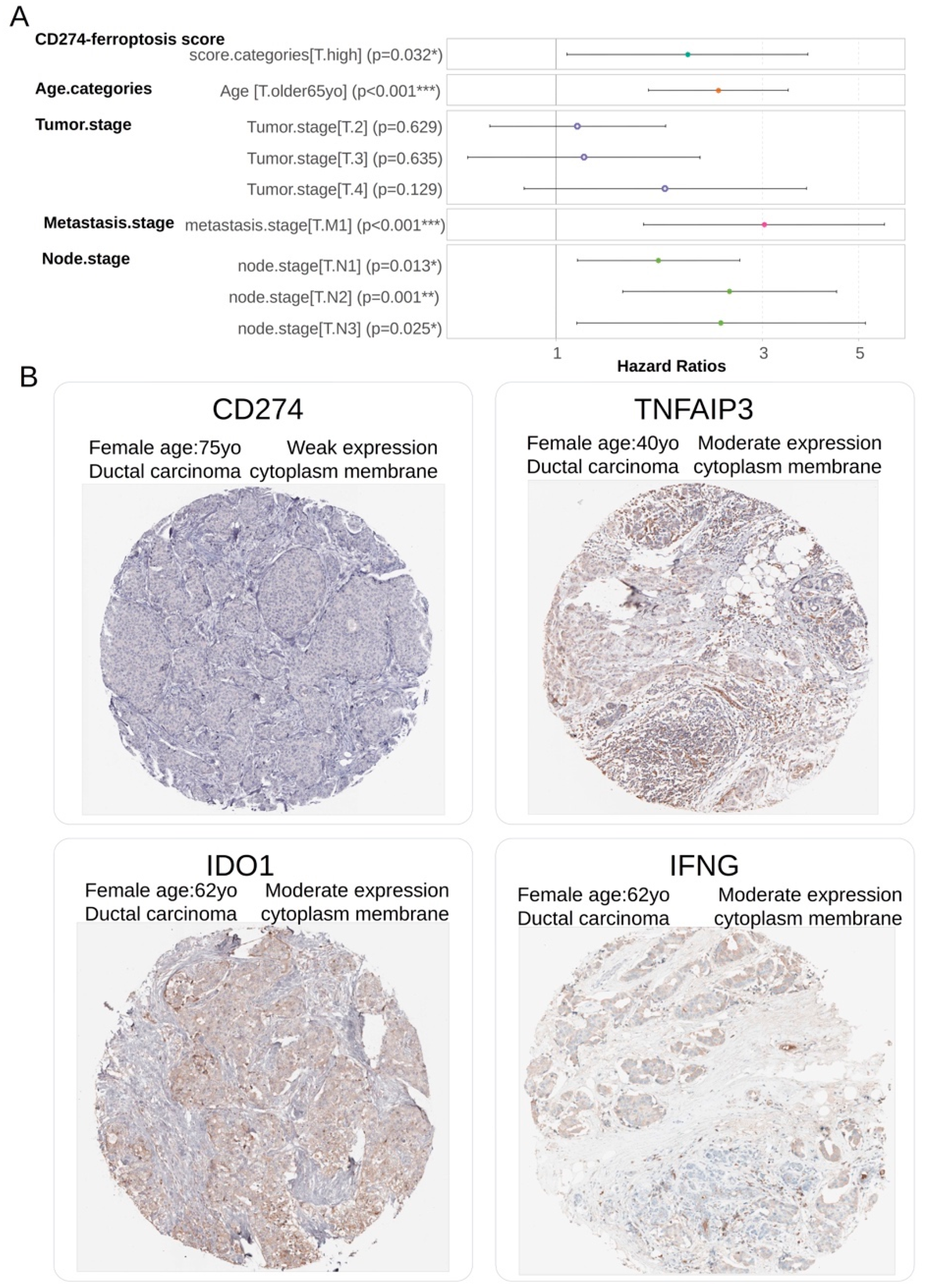 Preprints 91509 g007