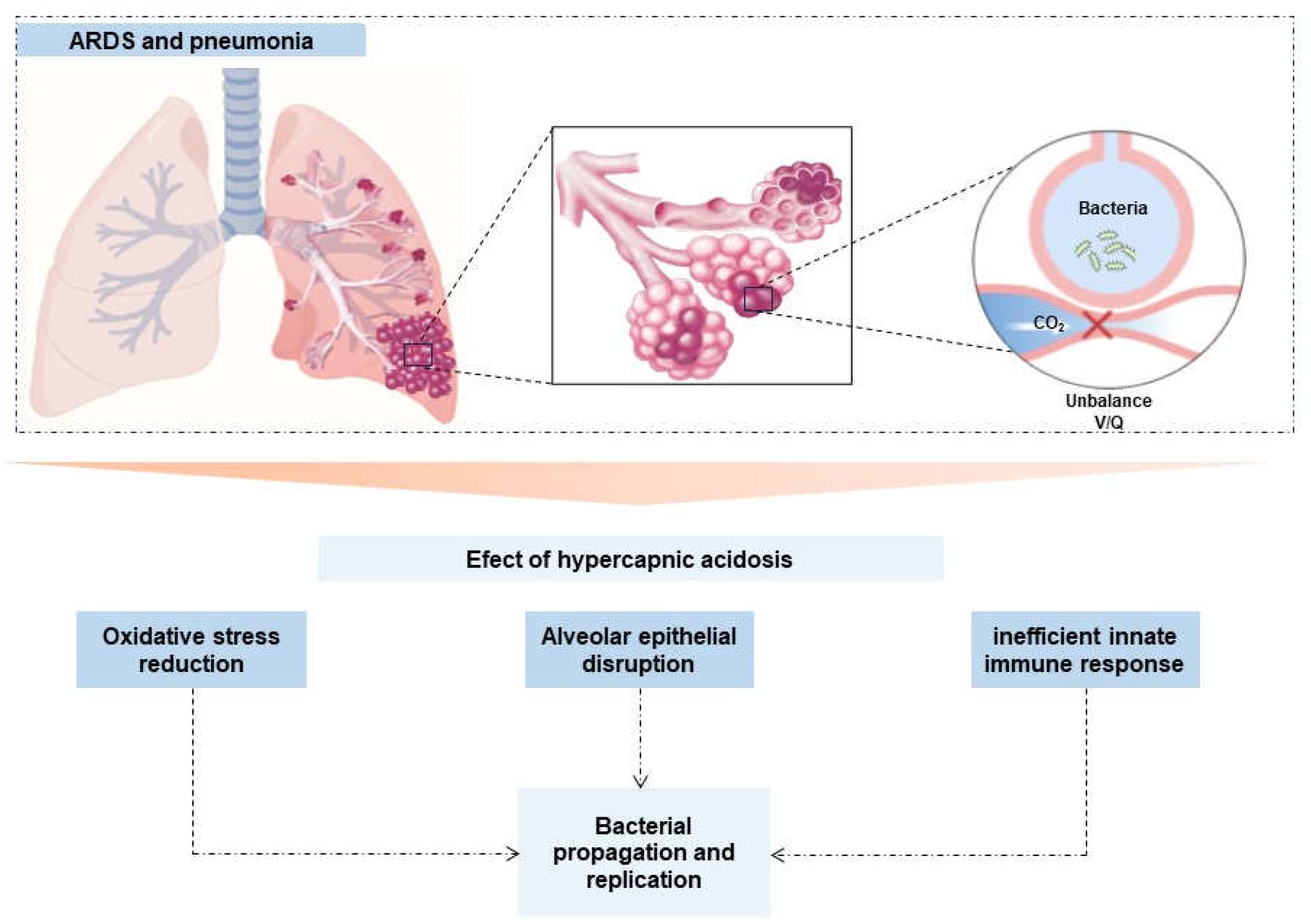 Preprints 116513 g002