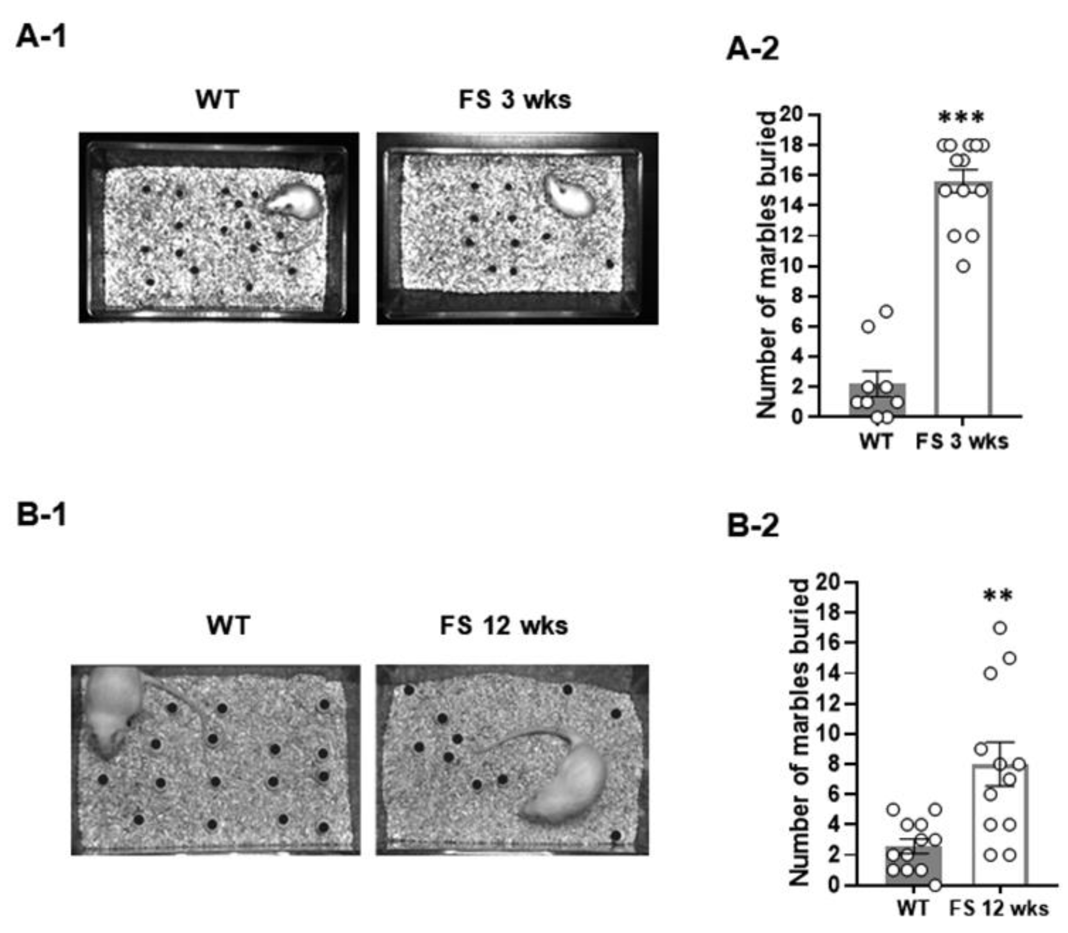 Preprints 81981 g002