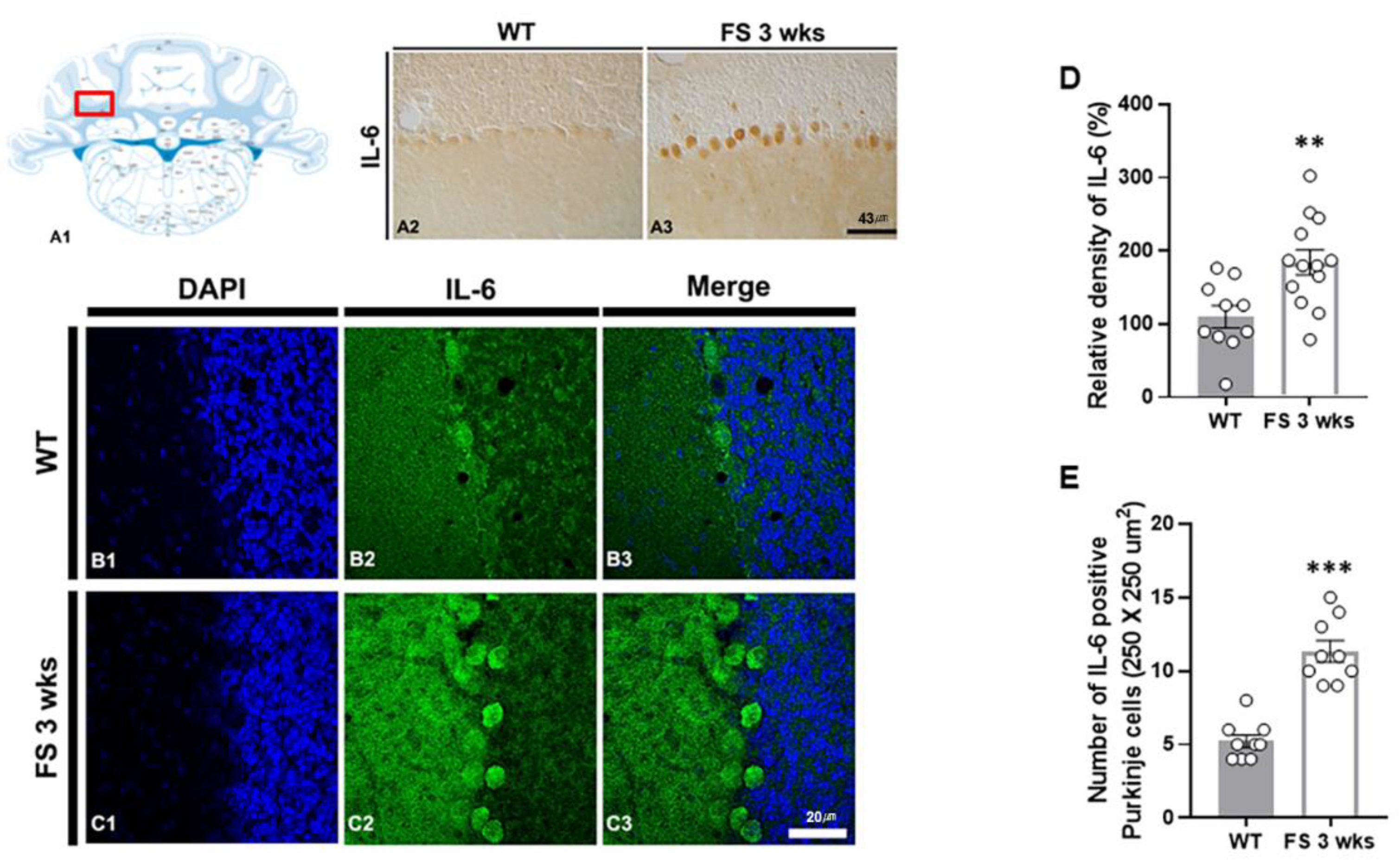 Preprints 81981 g004