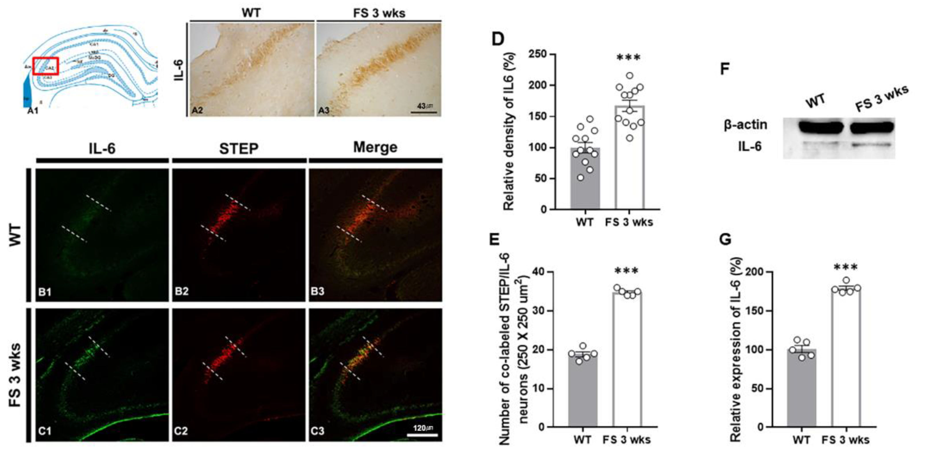 Preprints 81981 g005