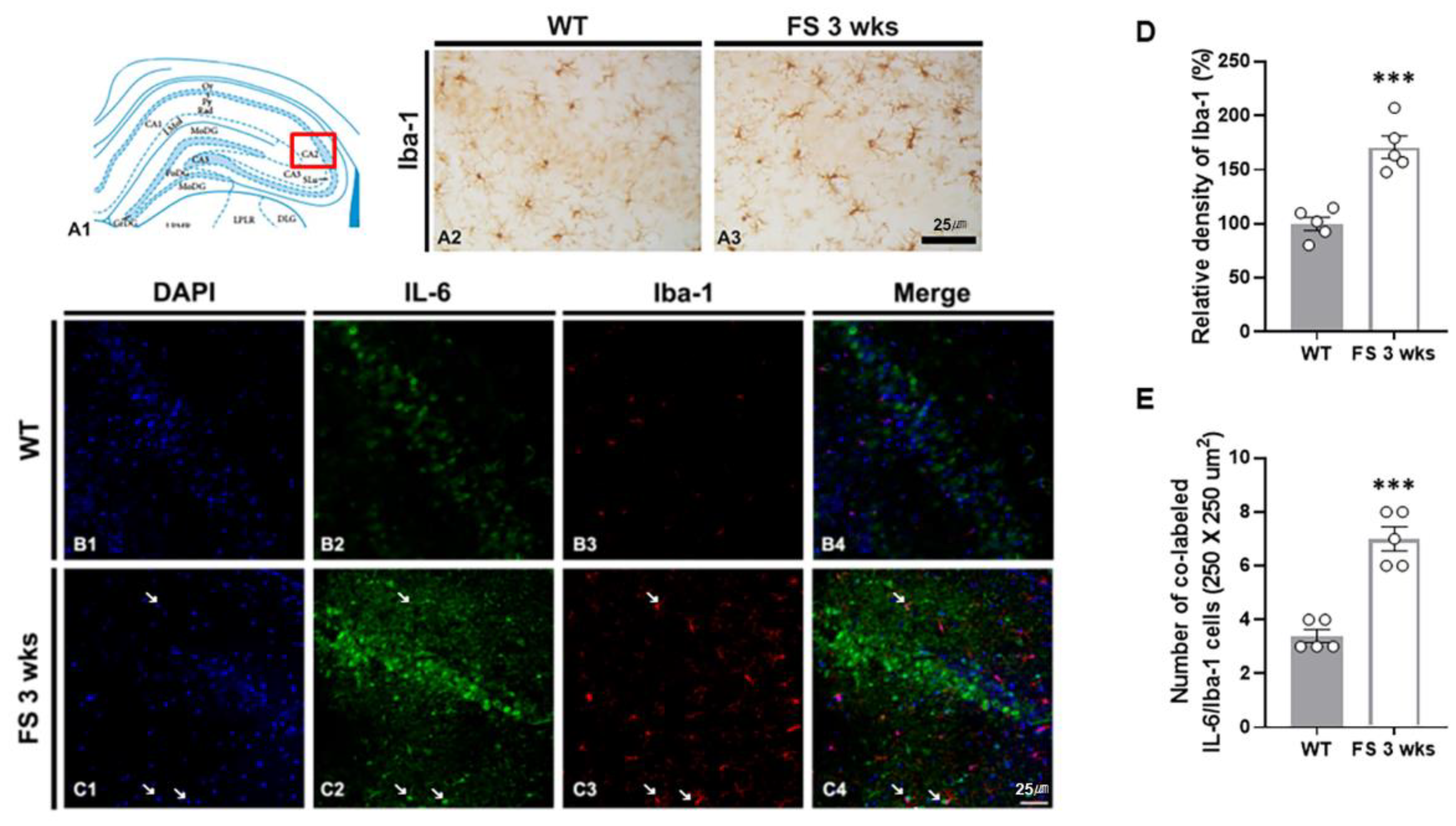 Preprints 81981 g006