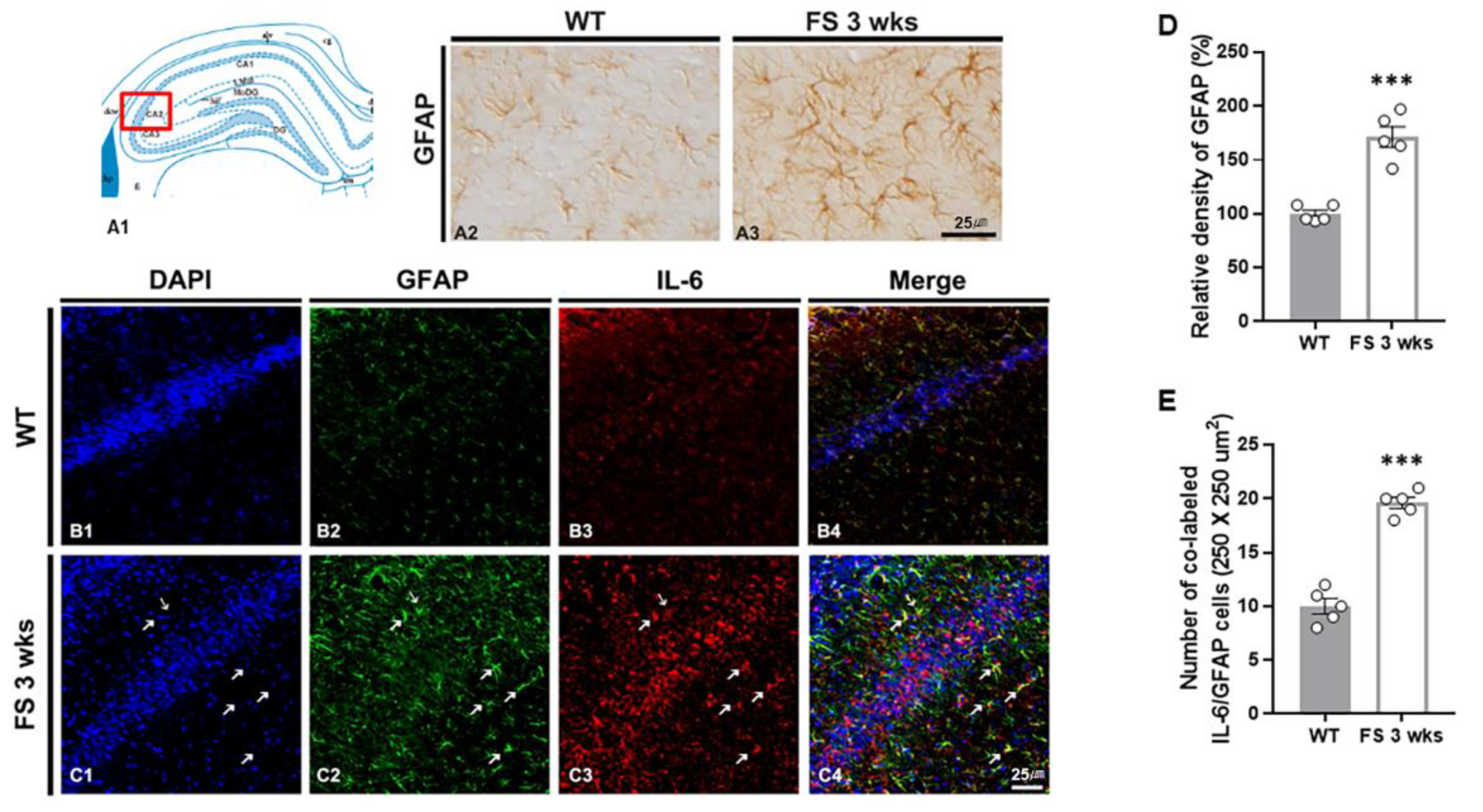 Preprints 81981 g007