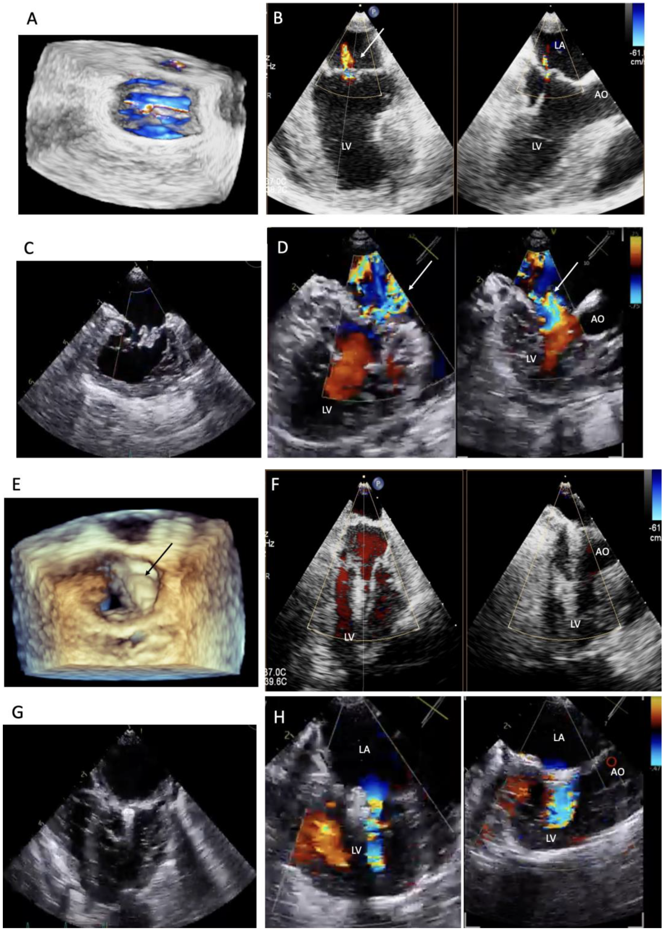 Preprints 121762 g002