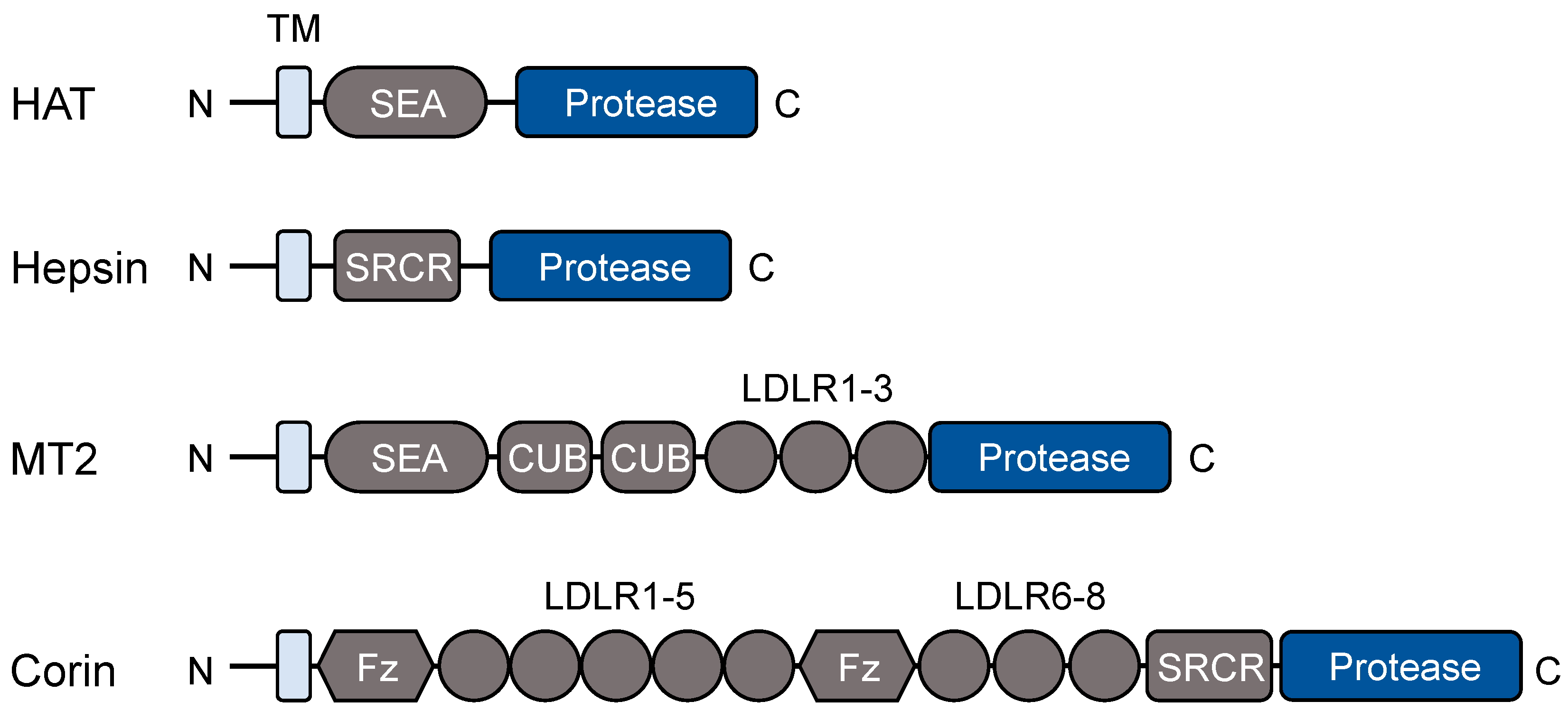 Preprints 74608 g001