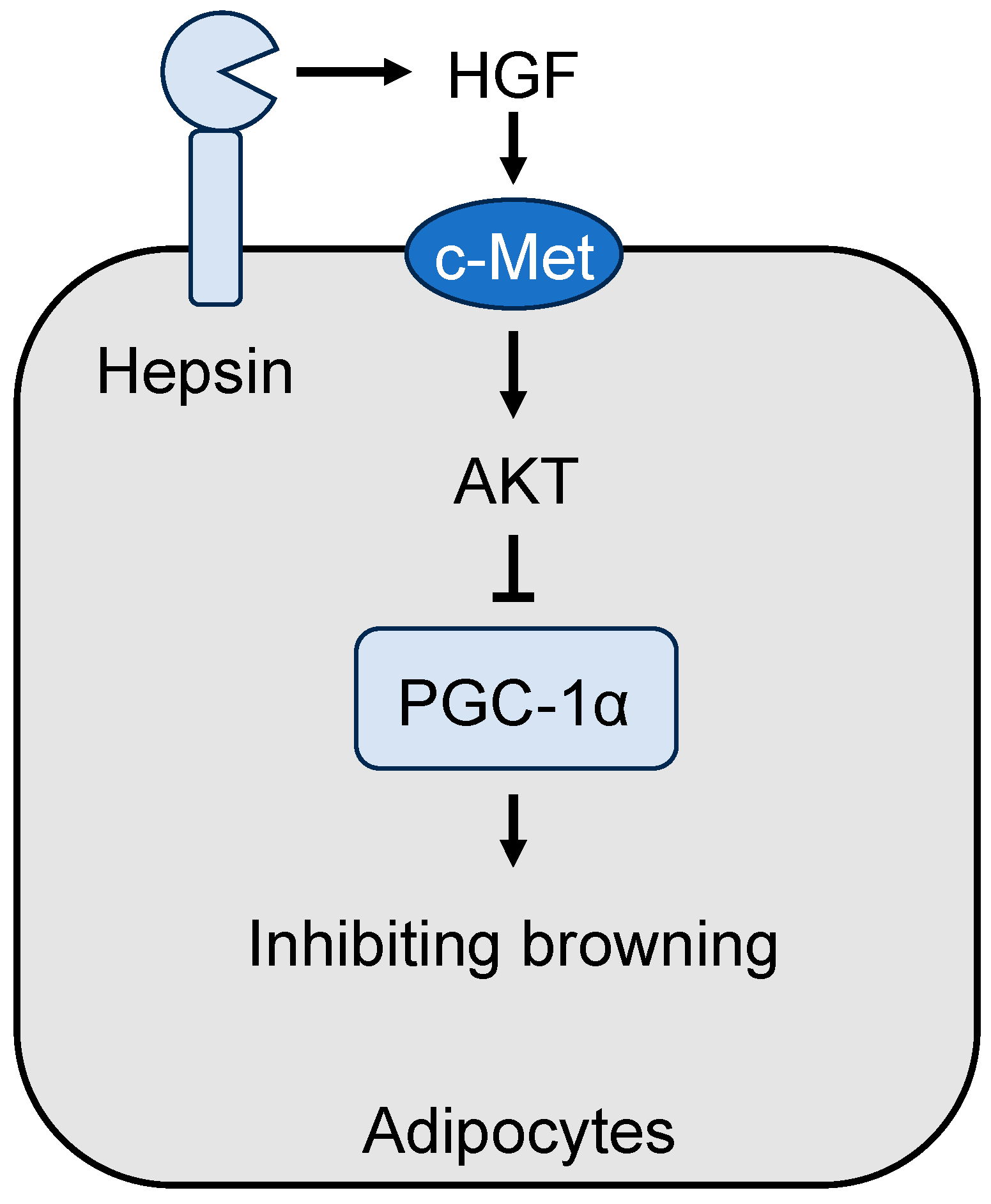 Preprints 74608 g002