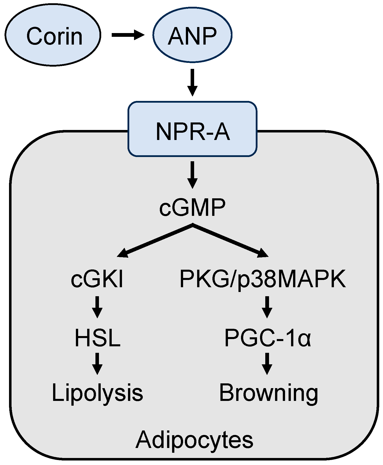 Preprints 74608 g004