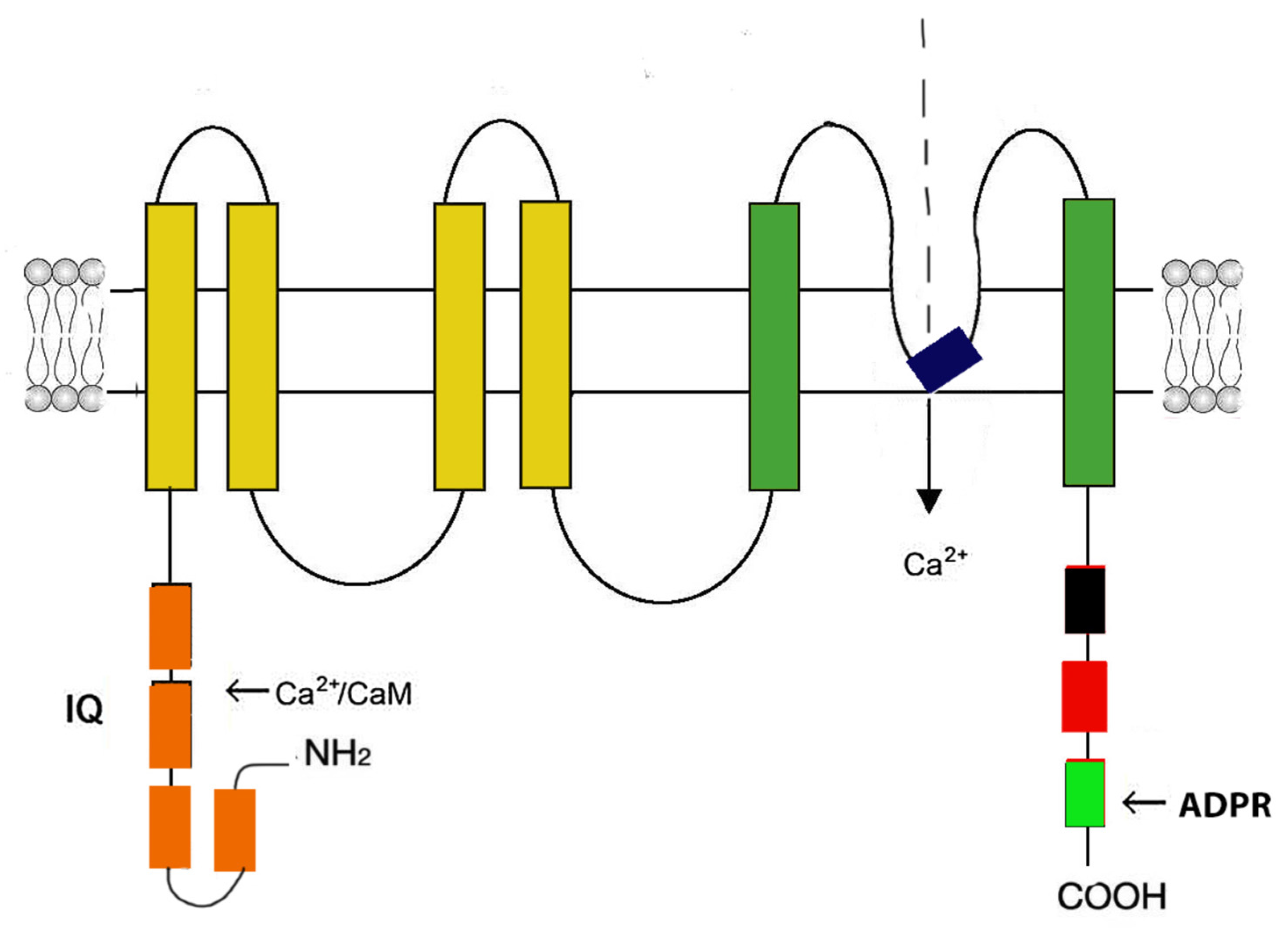 Preprints 74772 g005