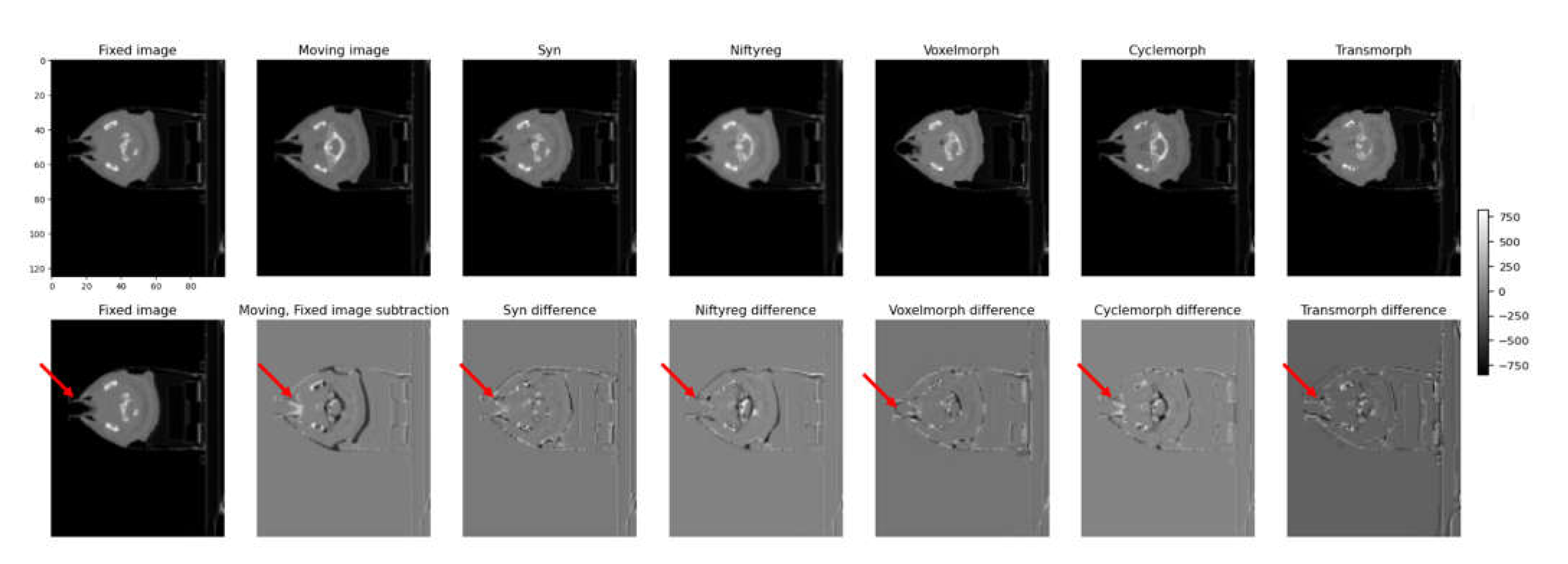 Preprints 76612 g007