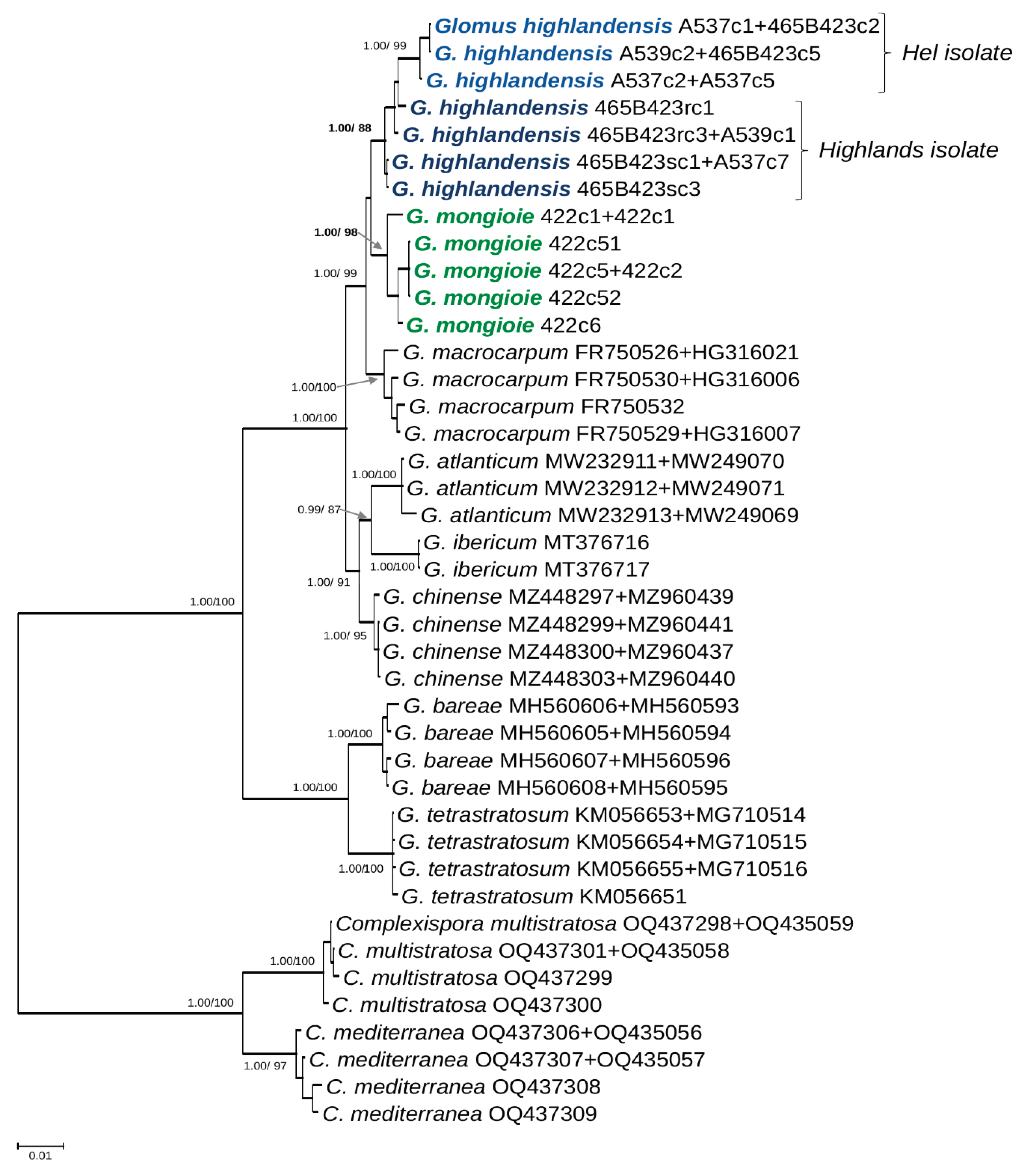 Preprints 103203 g001