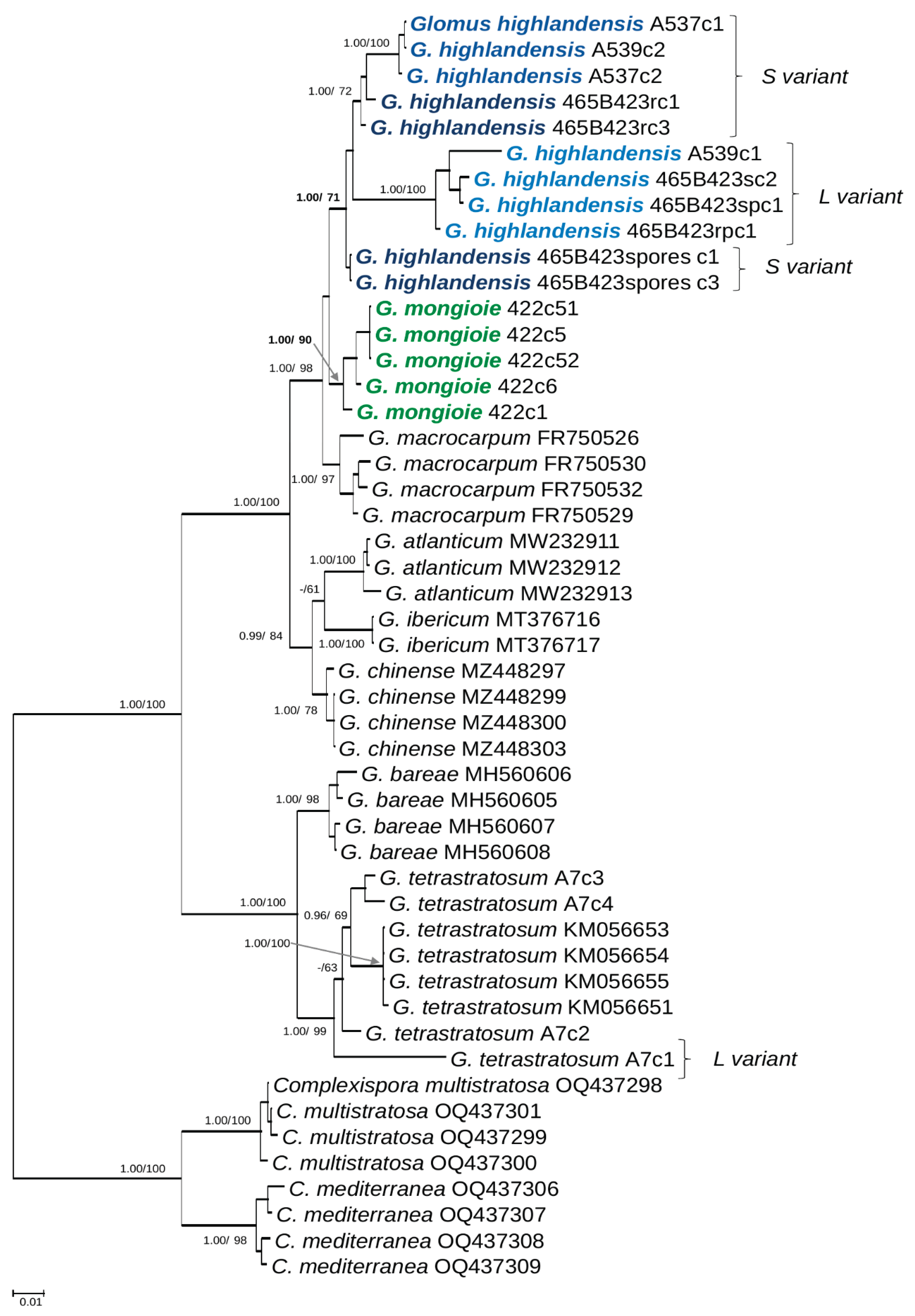 Preprints 103203 g002