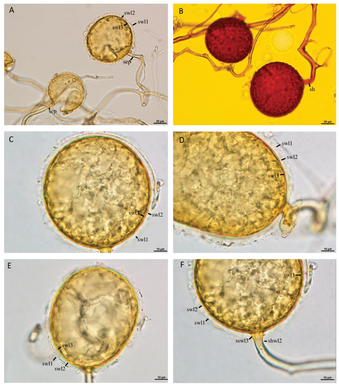 Preprints 103203 g004