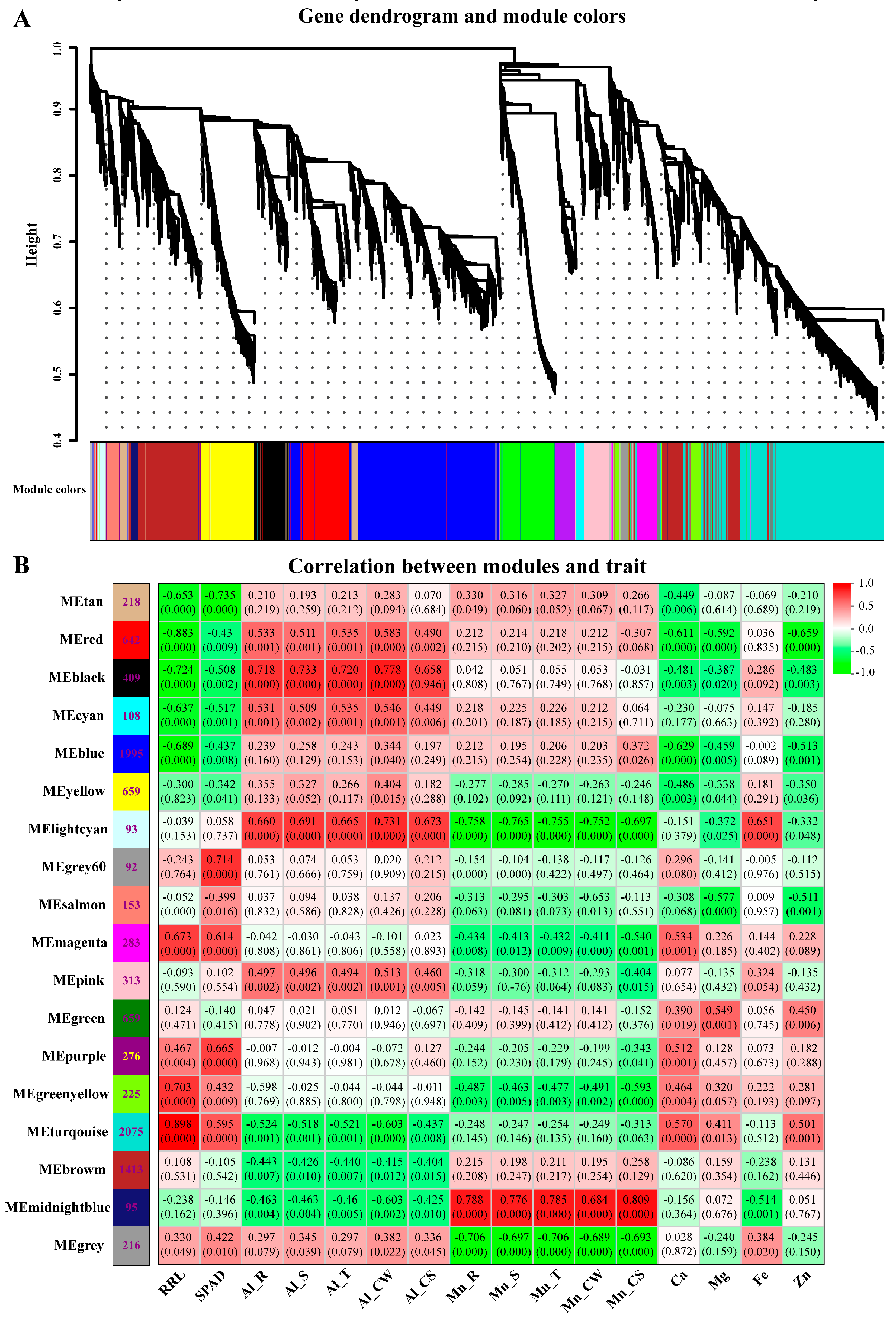 Preprints 92368 g010