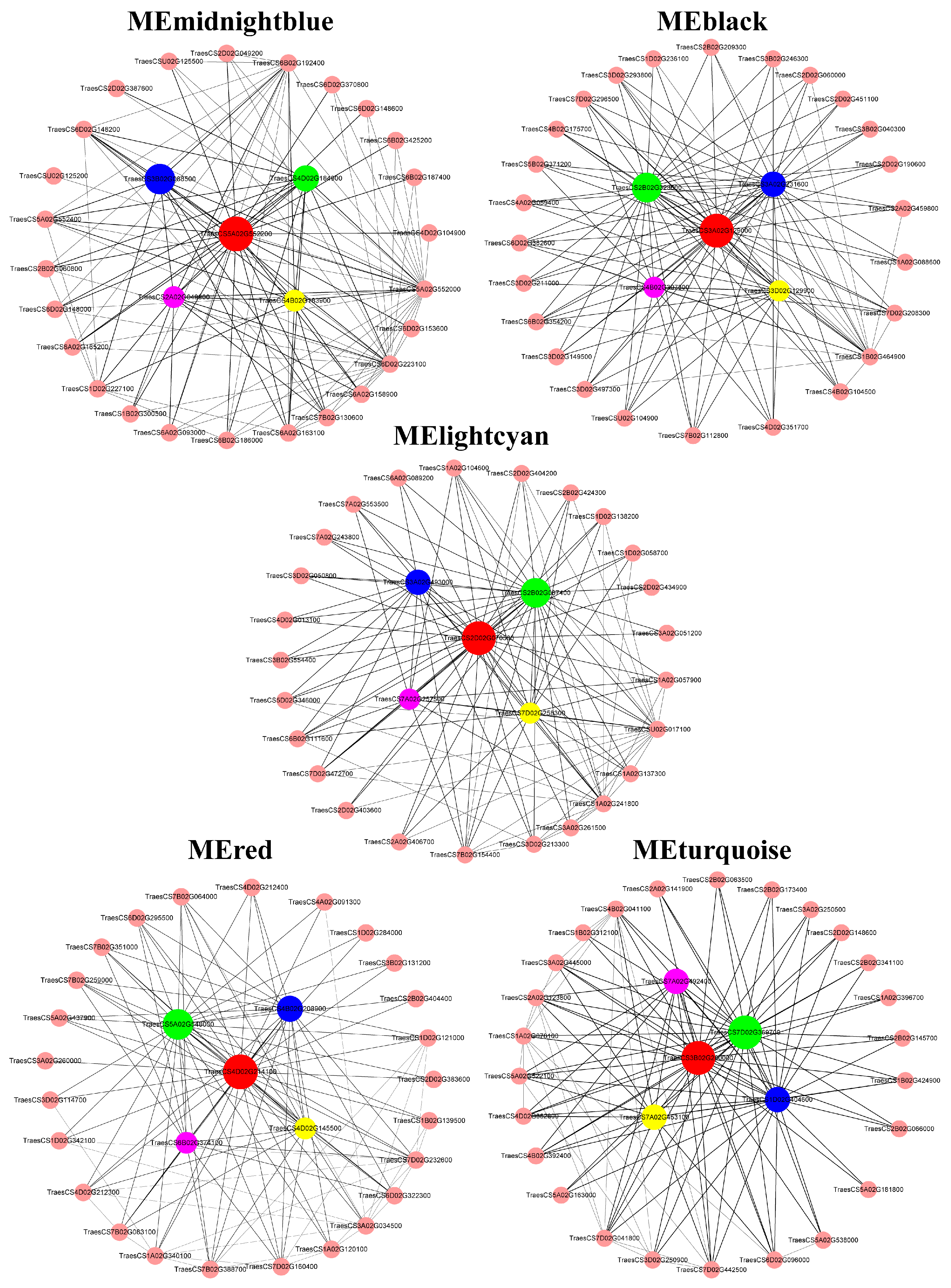 Preprints 92368 g011