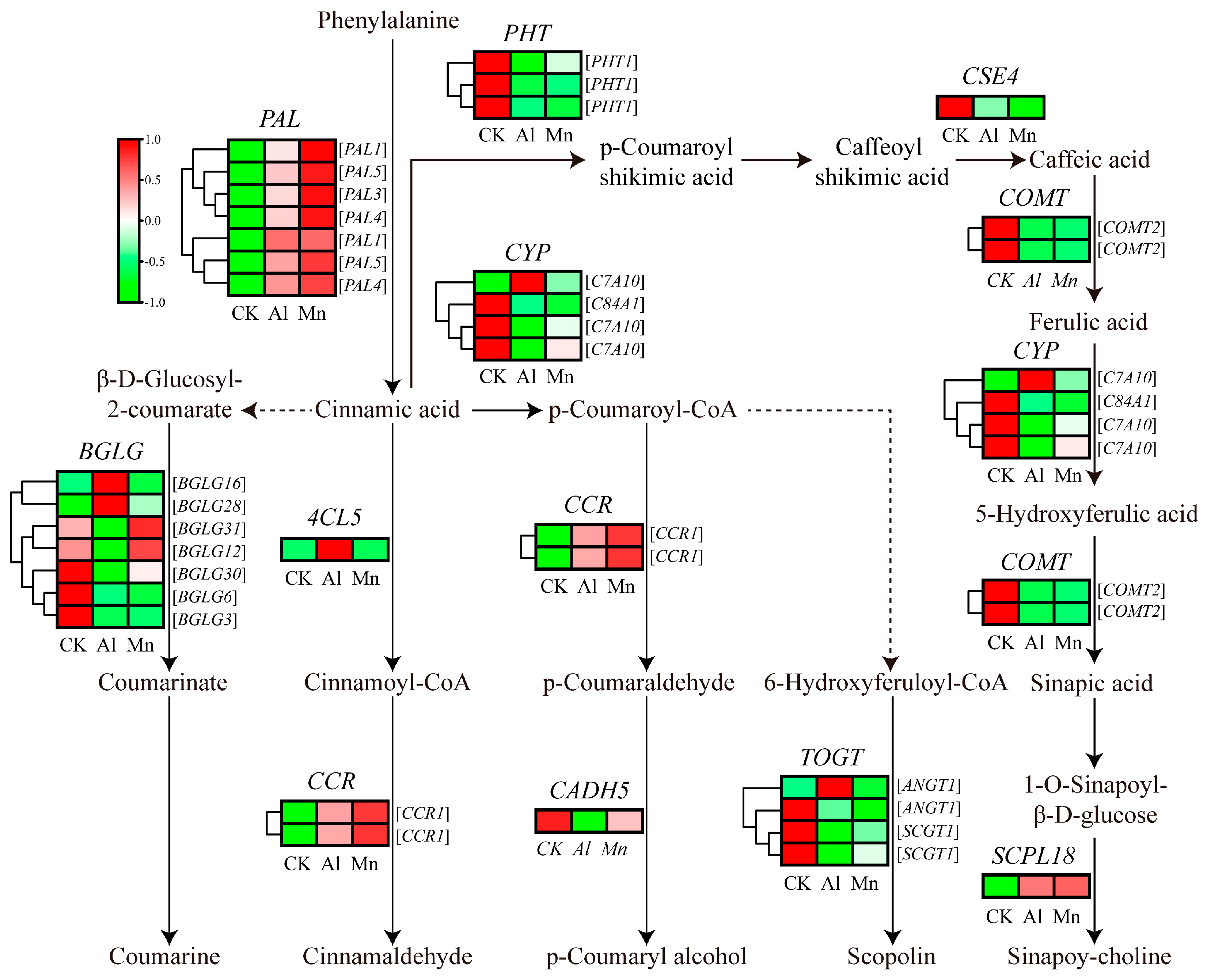 Preprints 92368 g015