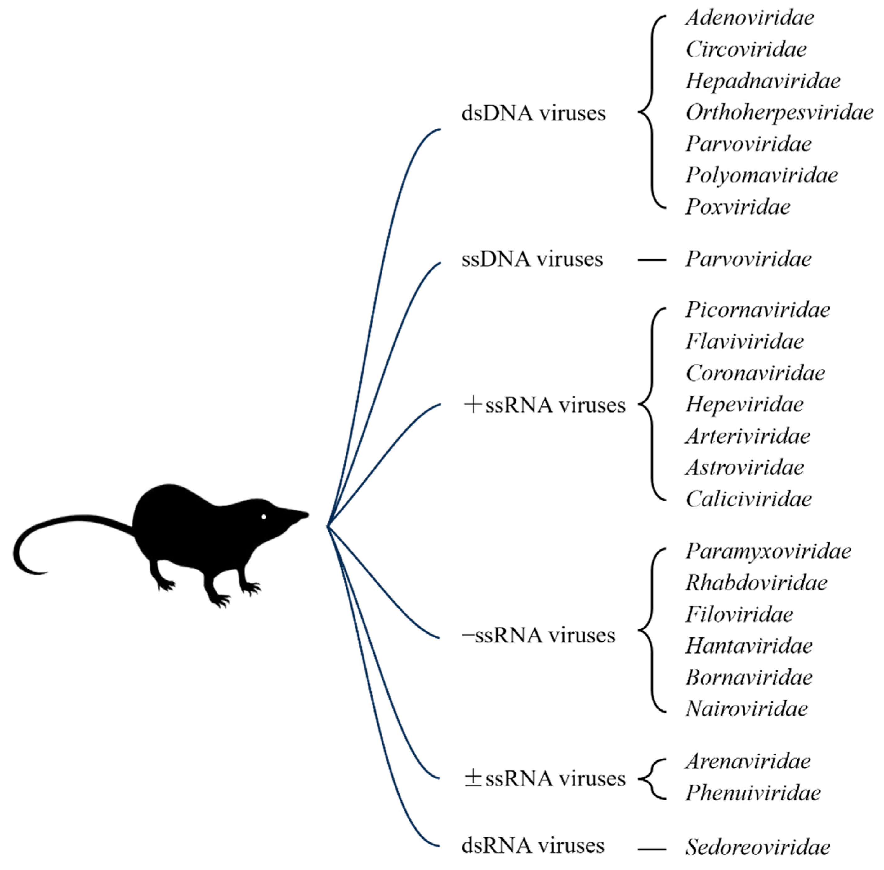 Preprints 93994 g003