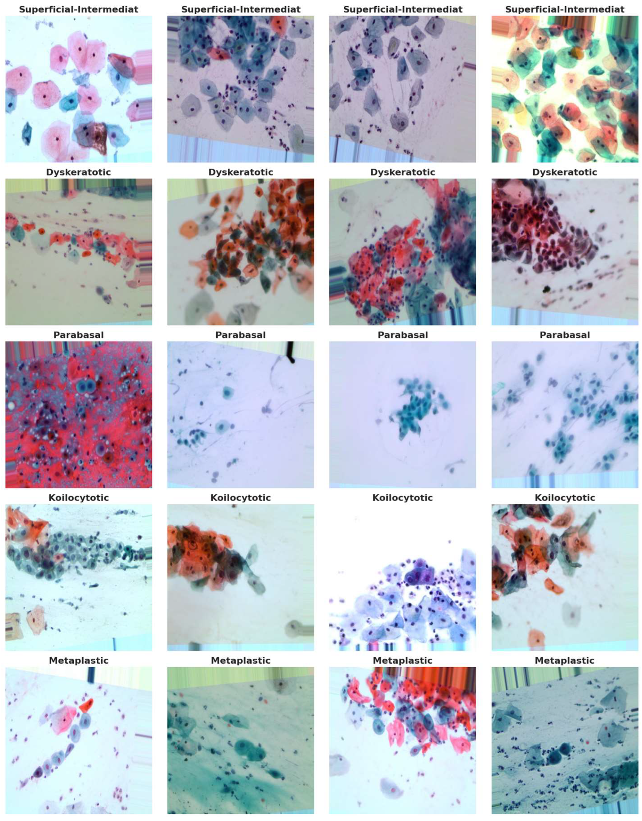 Preprints 138474 g005