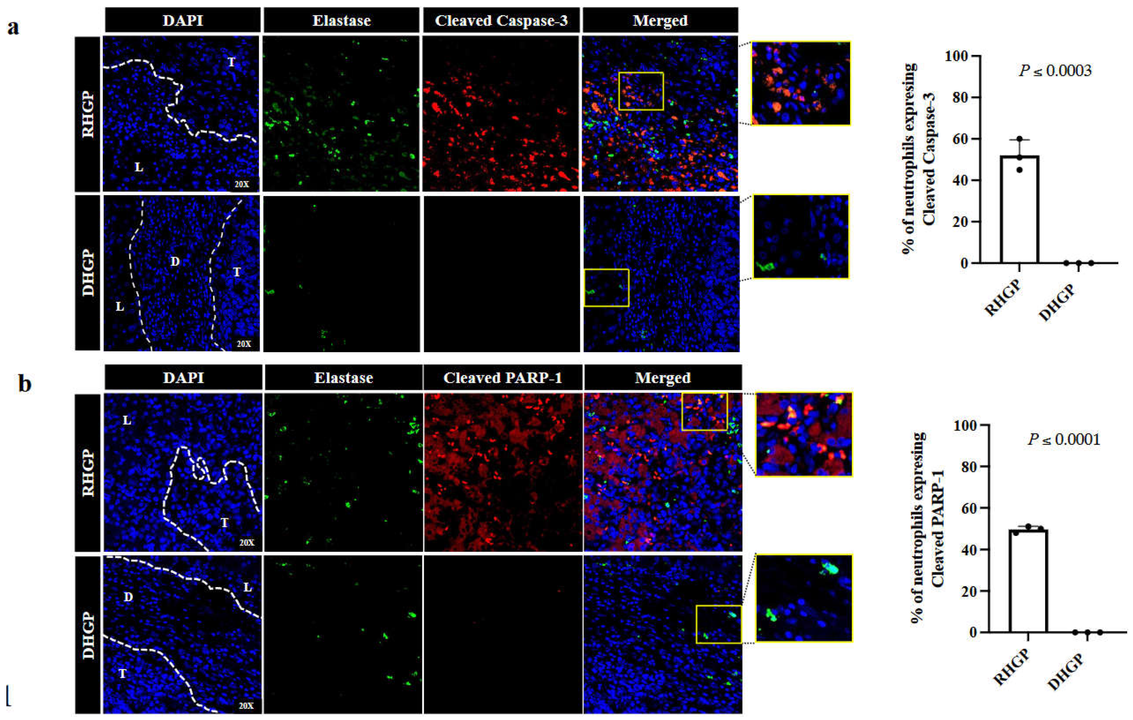 Preprints 72767 g001