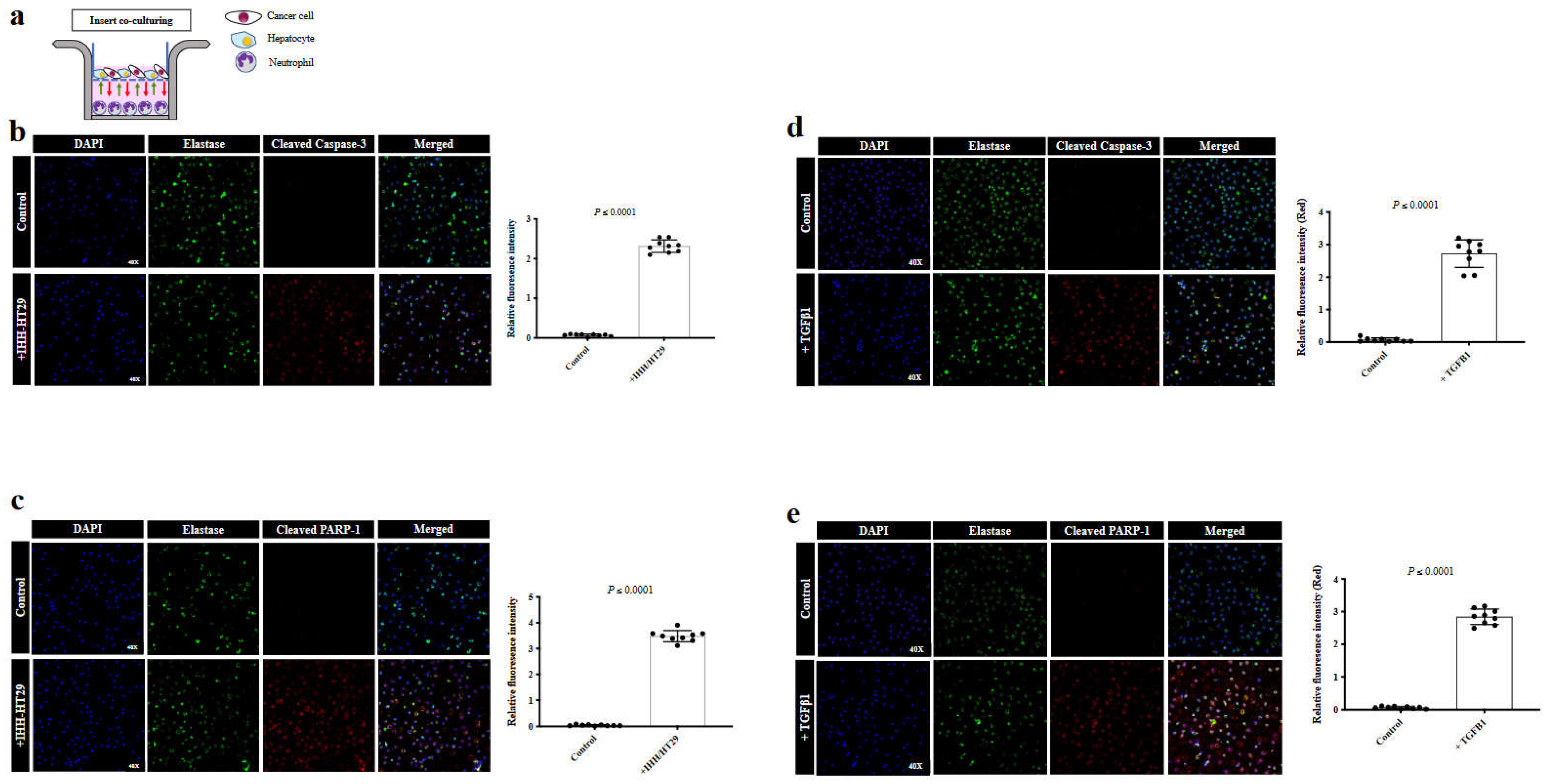 Preprints 72767 g002