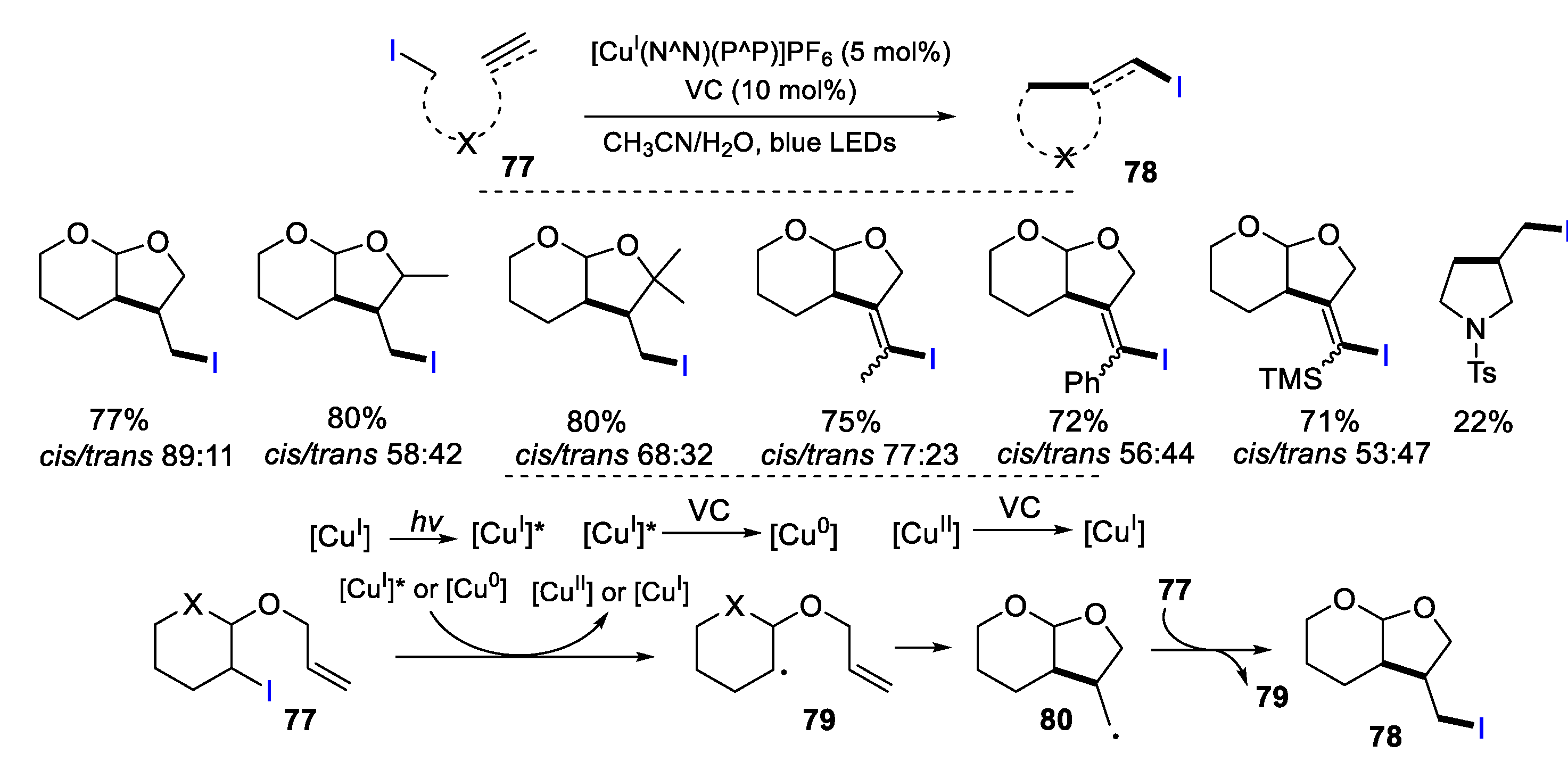 Preprints 103784 sch021