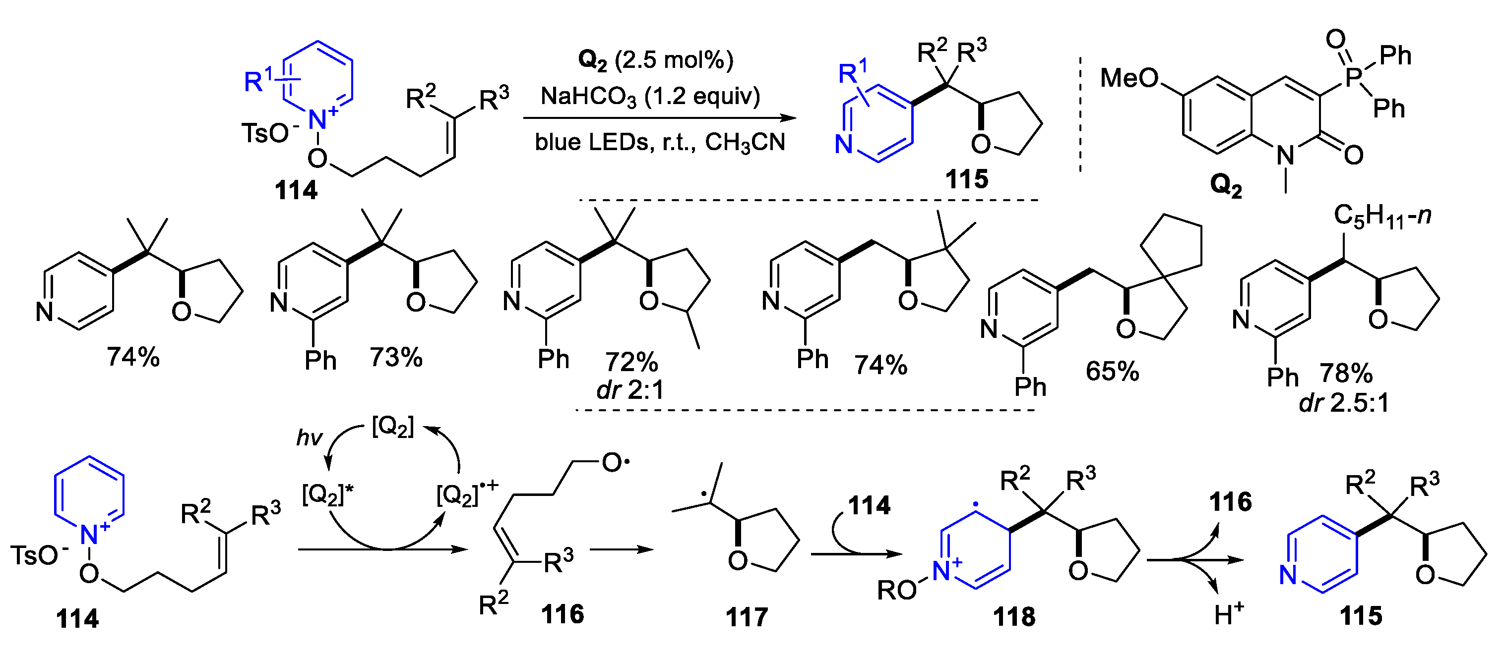 Preprints 103784 sch029