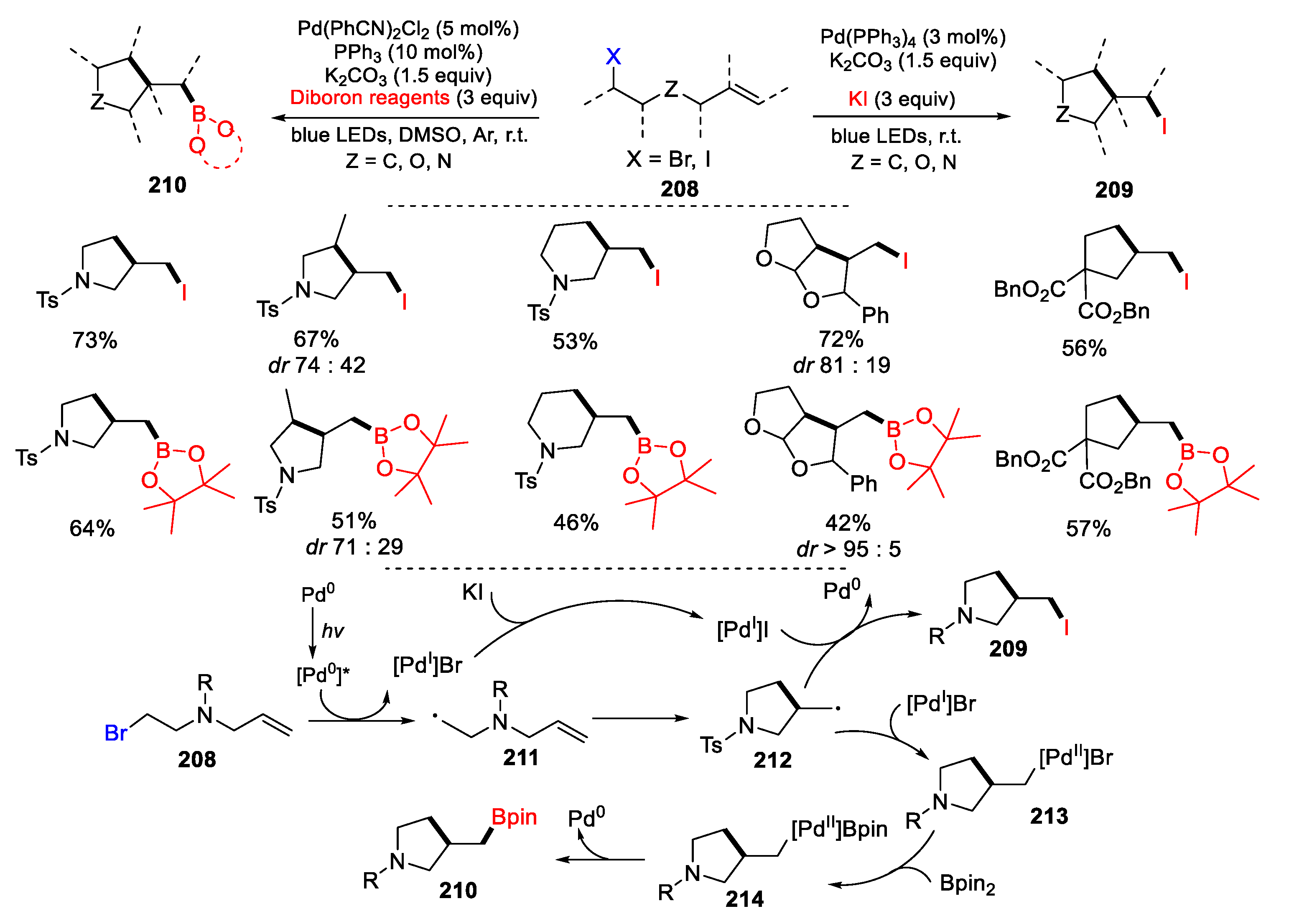 Preprints 103784 sch046