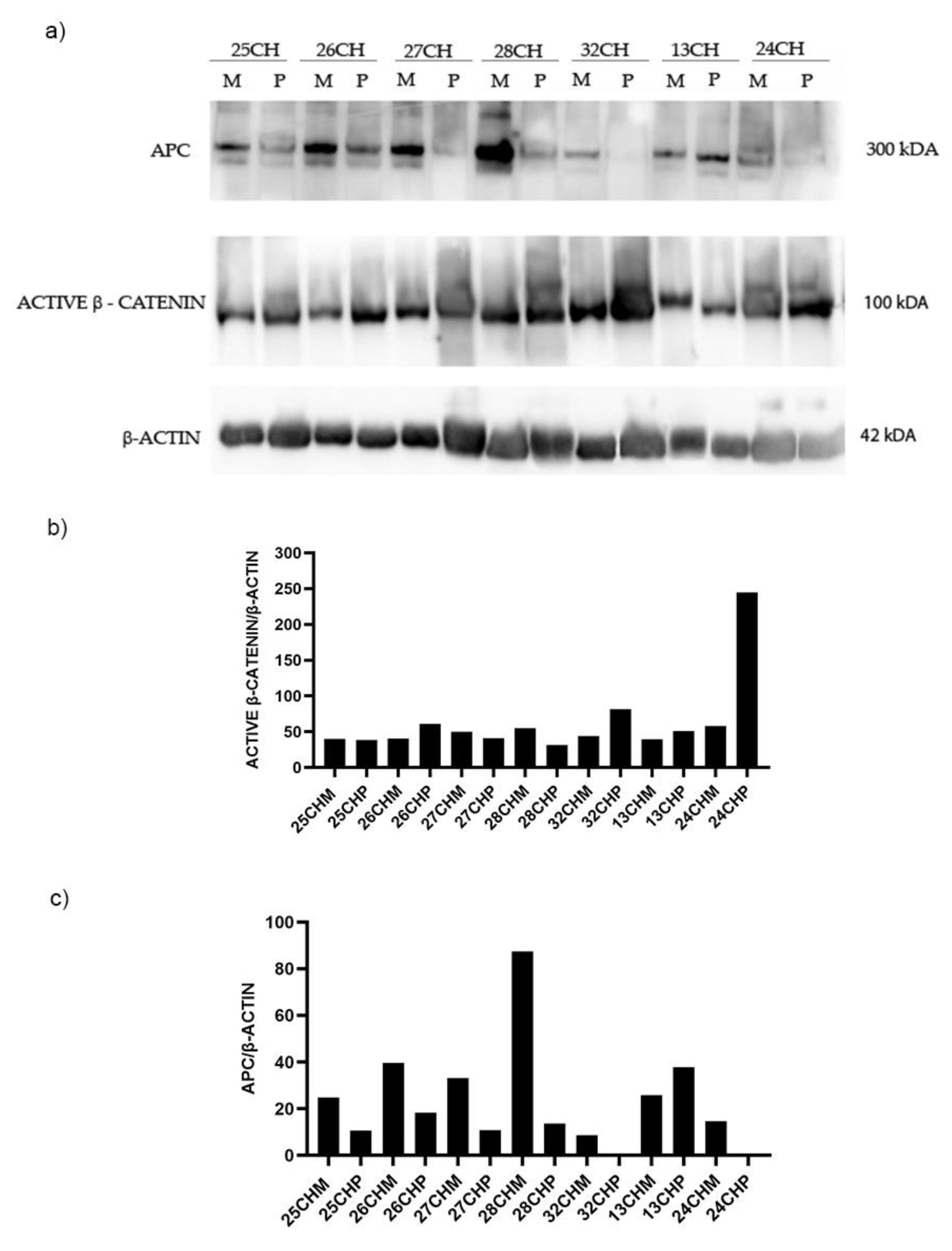 Preprints 110191 g004