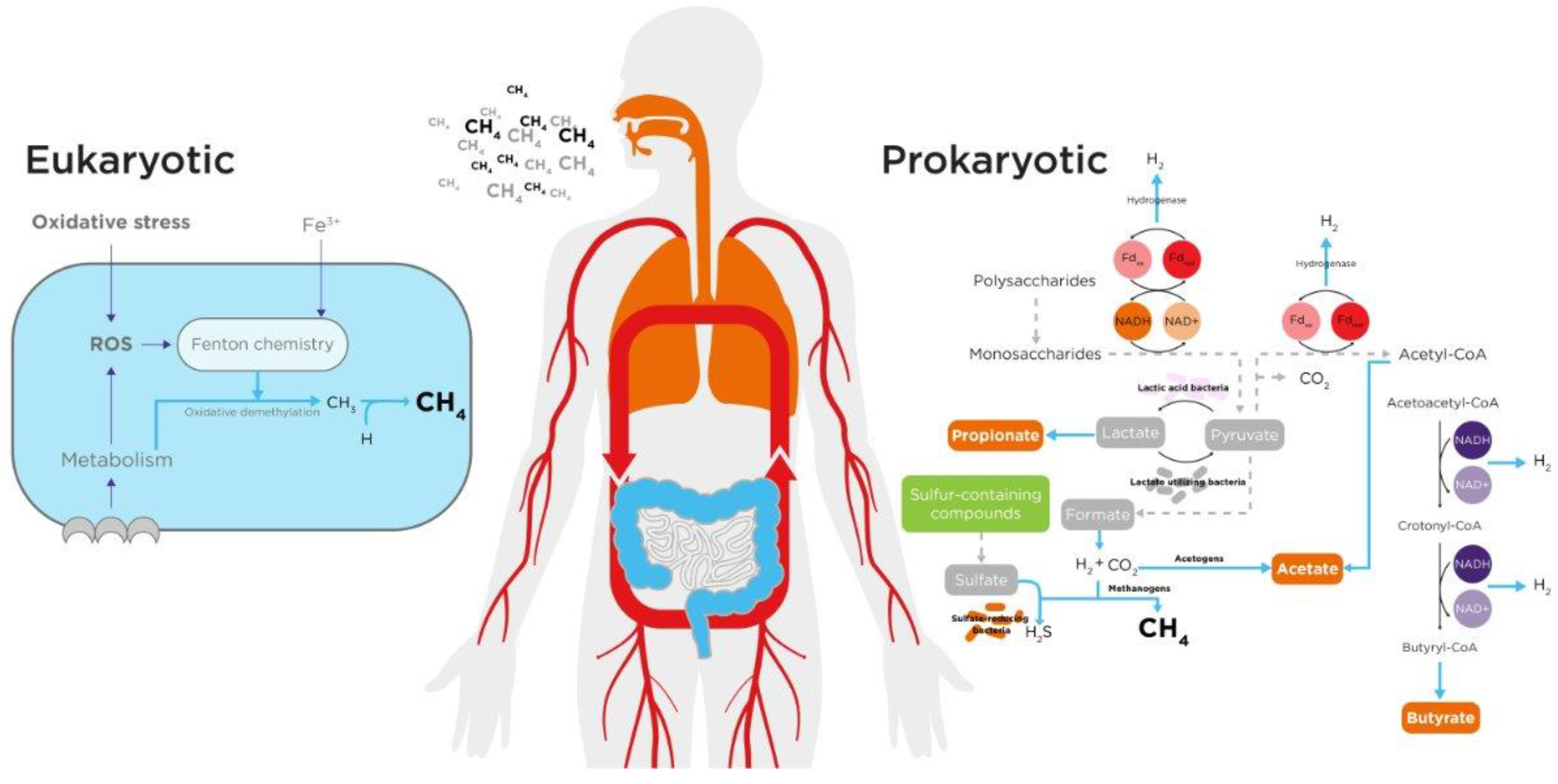 Preprints 138509 g001