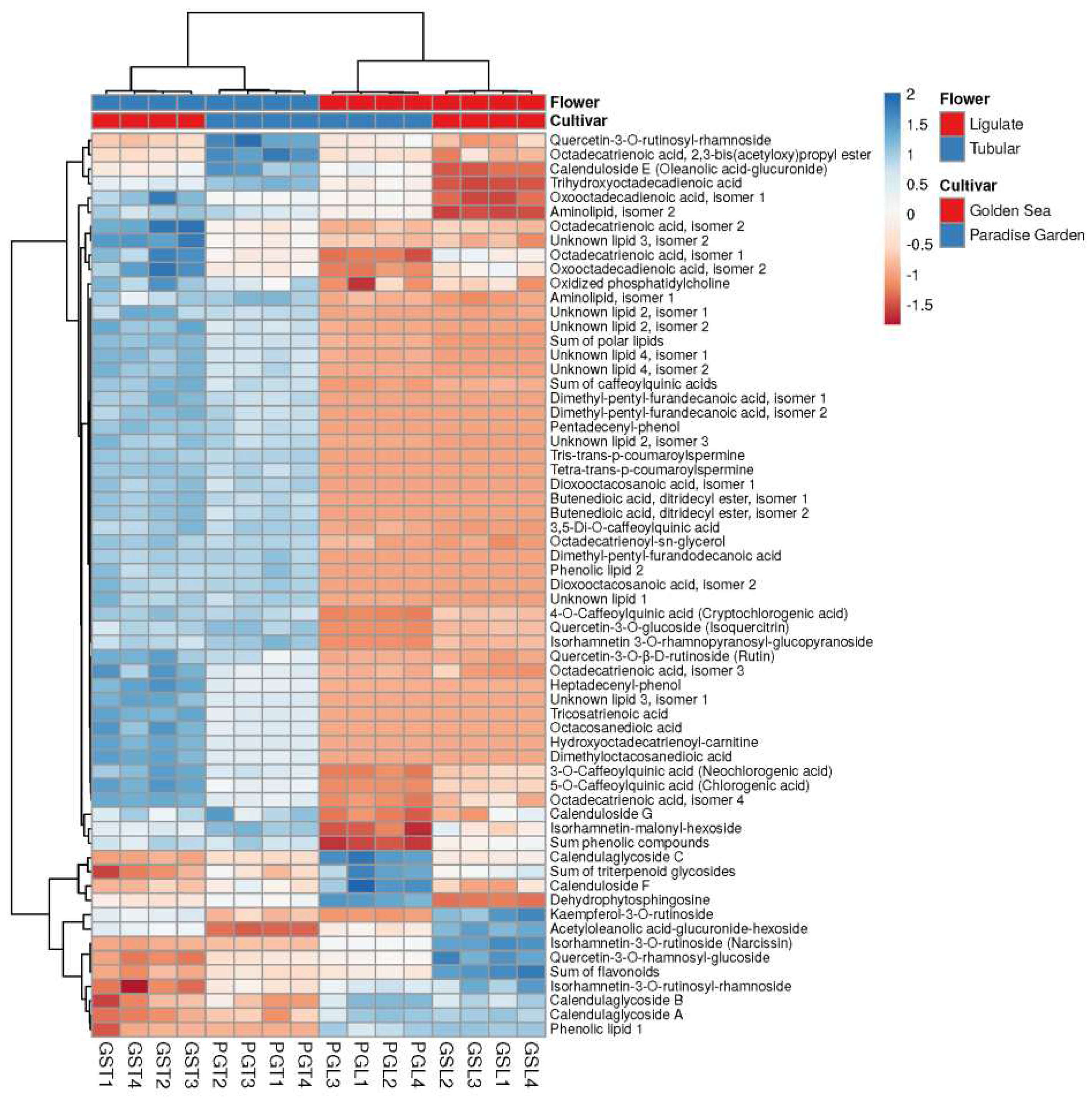 Preprints 97960 g004