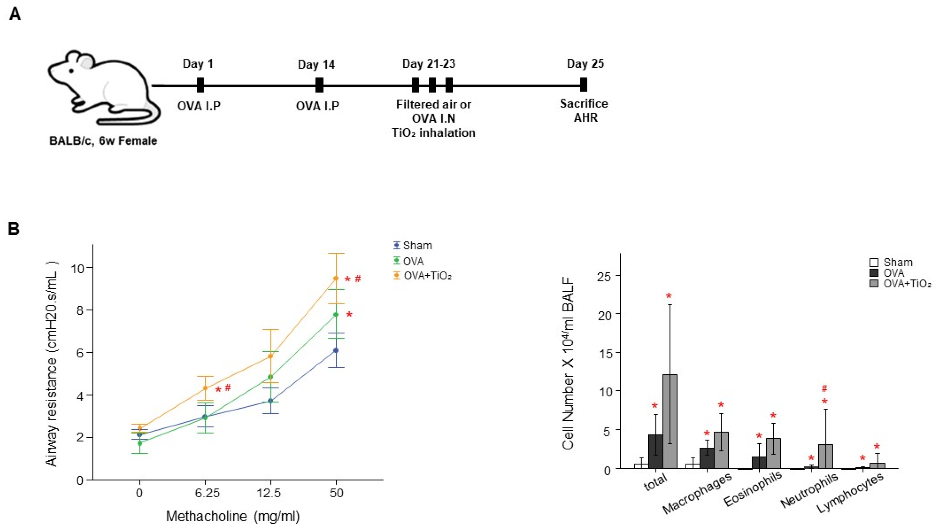 Preprints 71885 g004