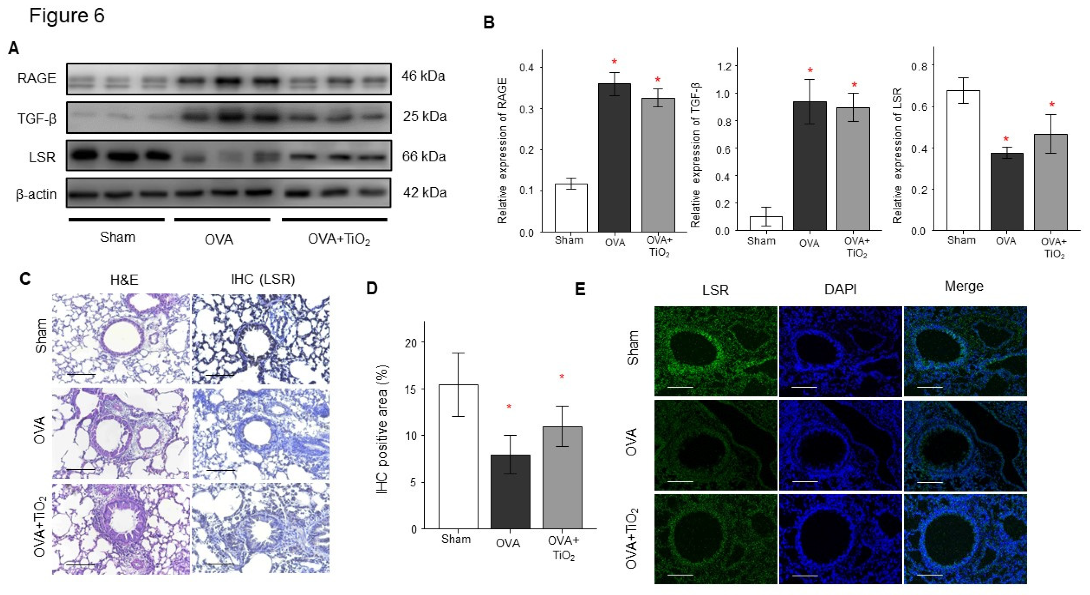 Preprints 71885 g006