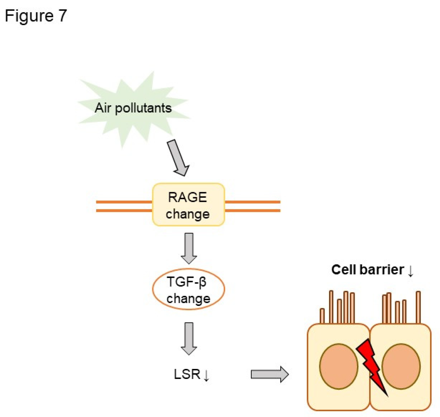 Preprints 71885 g007