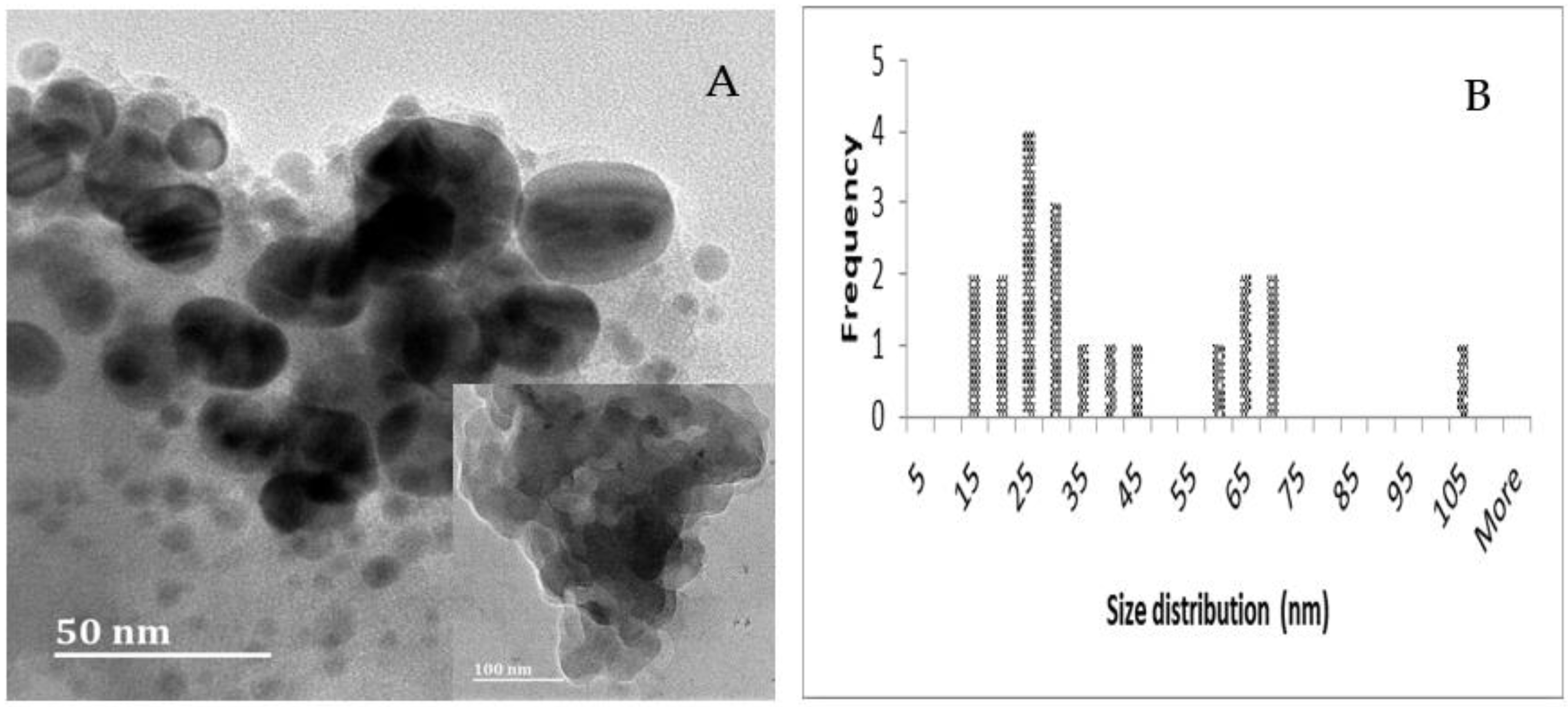 Preprints 91980 g007