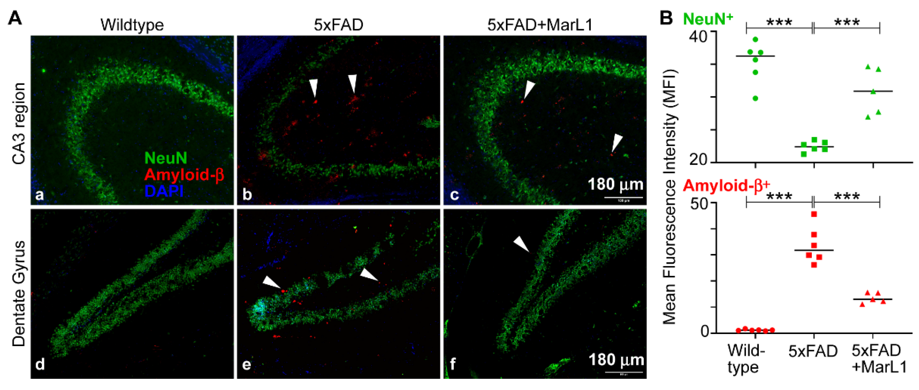 Preprints 138328 g001